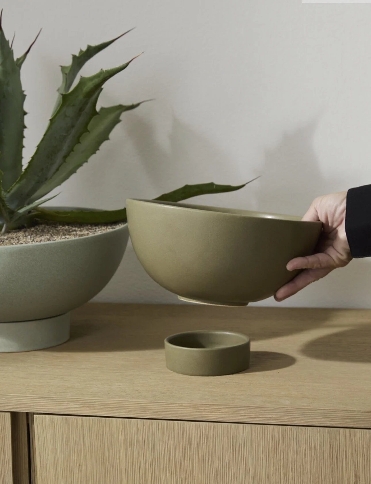 A person is holding a green bowl above a wooden table, with a large potted aloe vera plant nearby. There is a small green cup and a cake stand on the table.