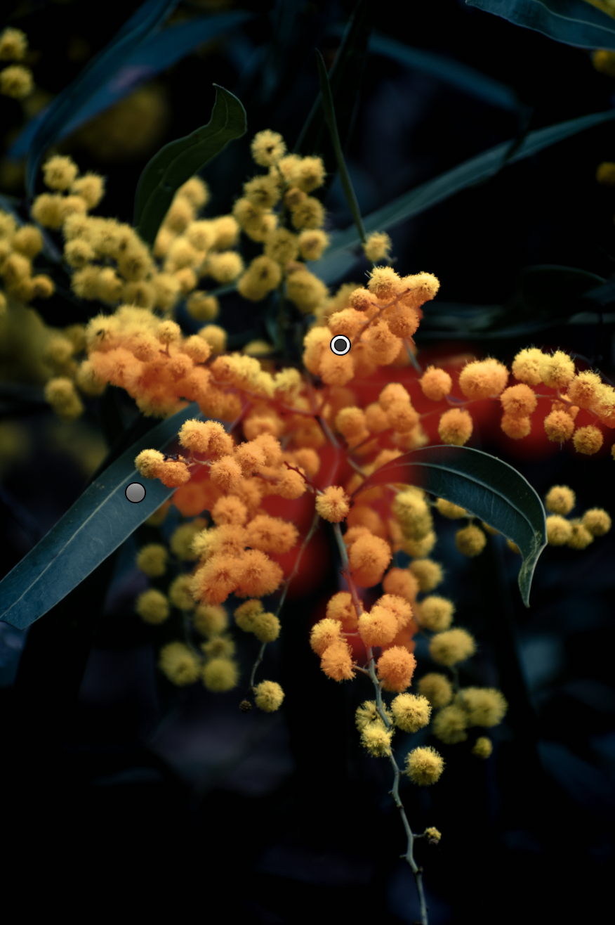 Lightroom Brush Overlay Selection