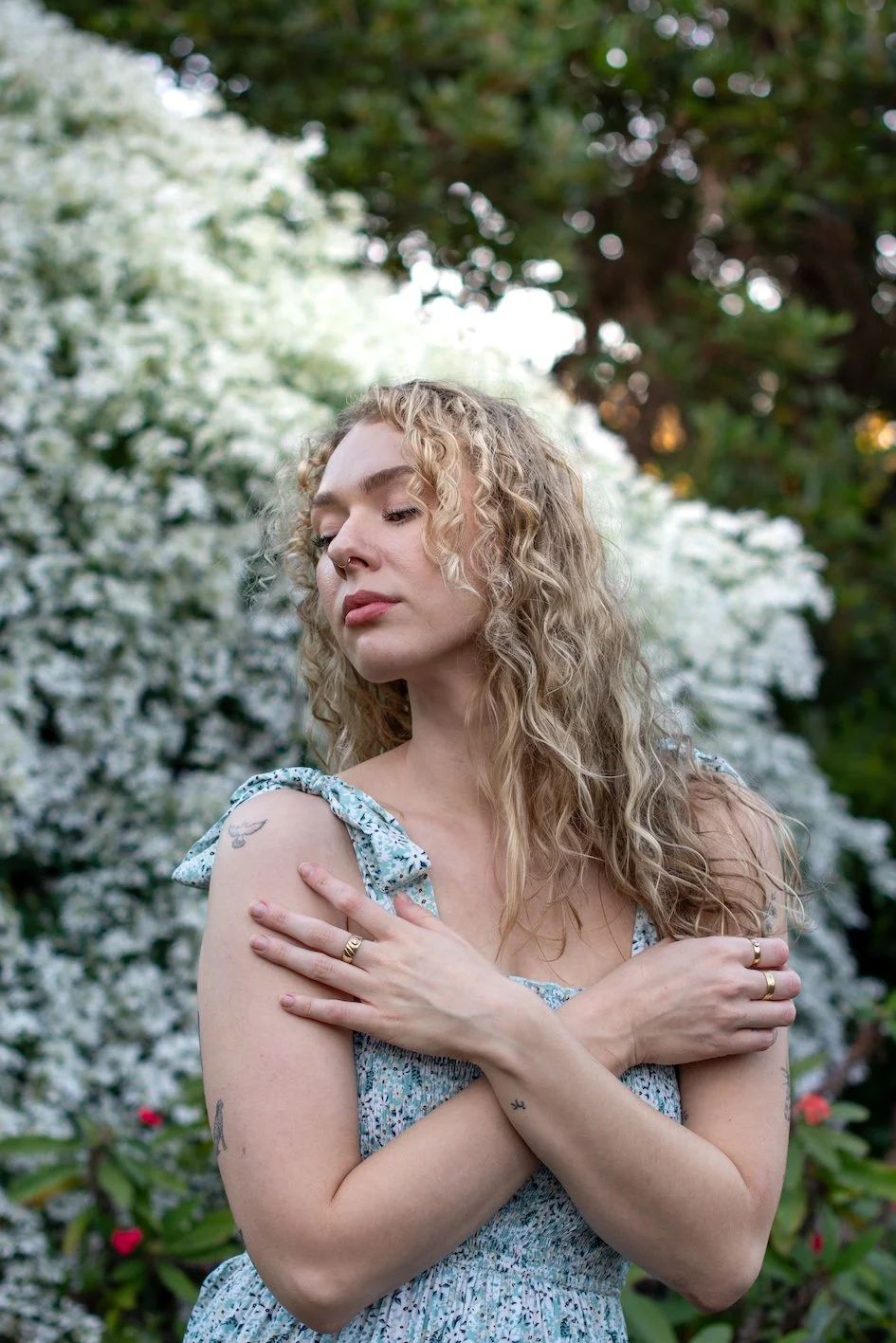 Mt Coo-tha Botanical Gardens