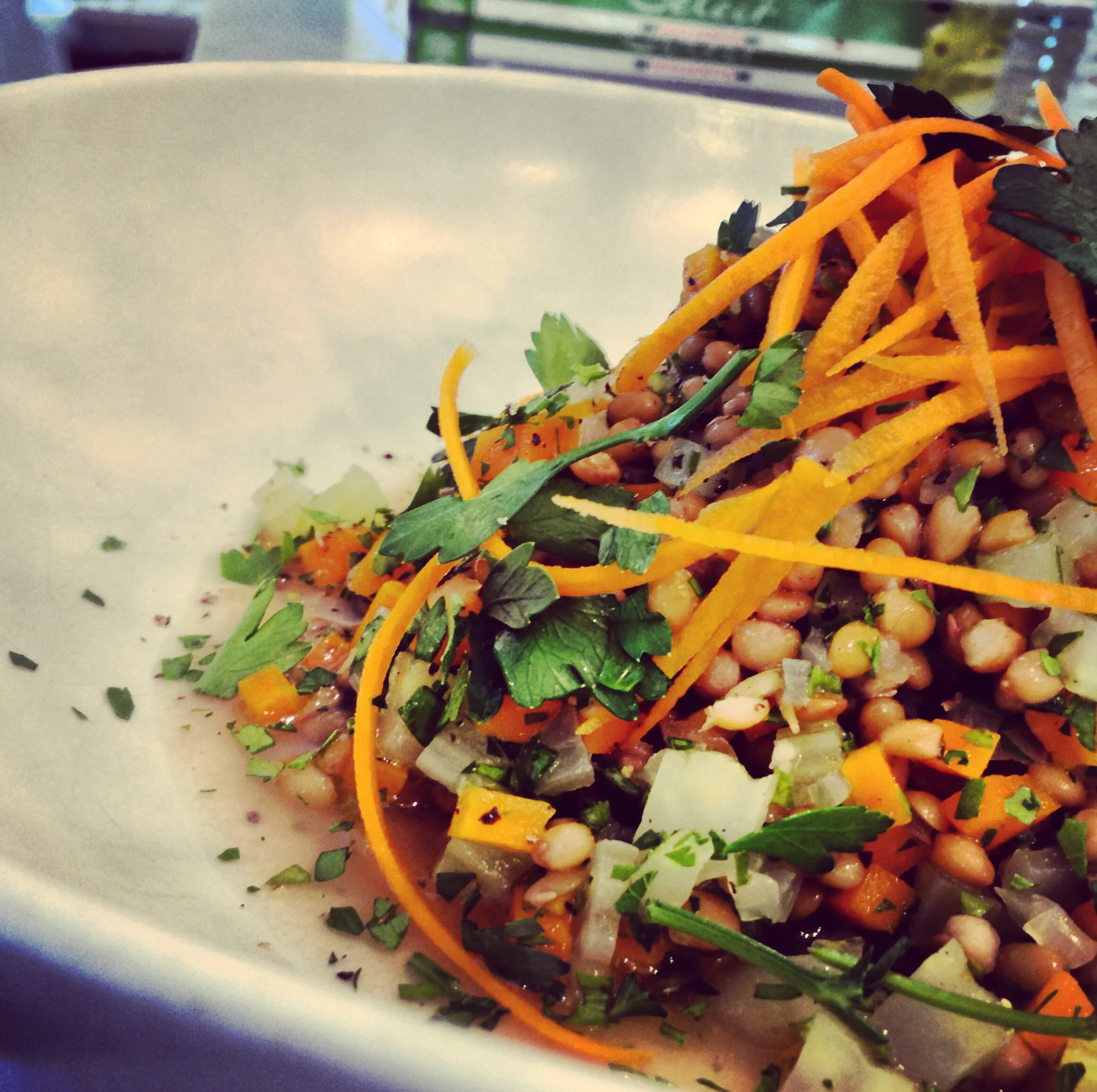 The Idea of The Plant Based Chef