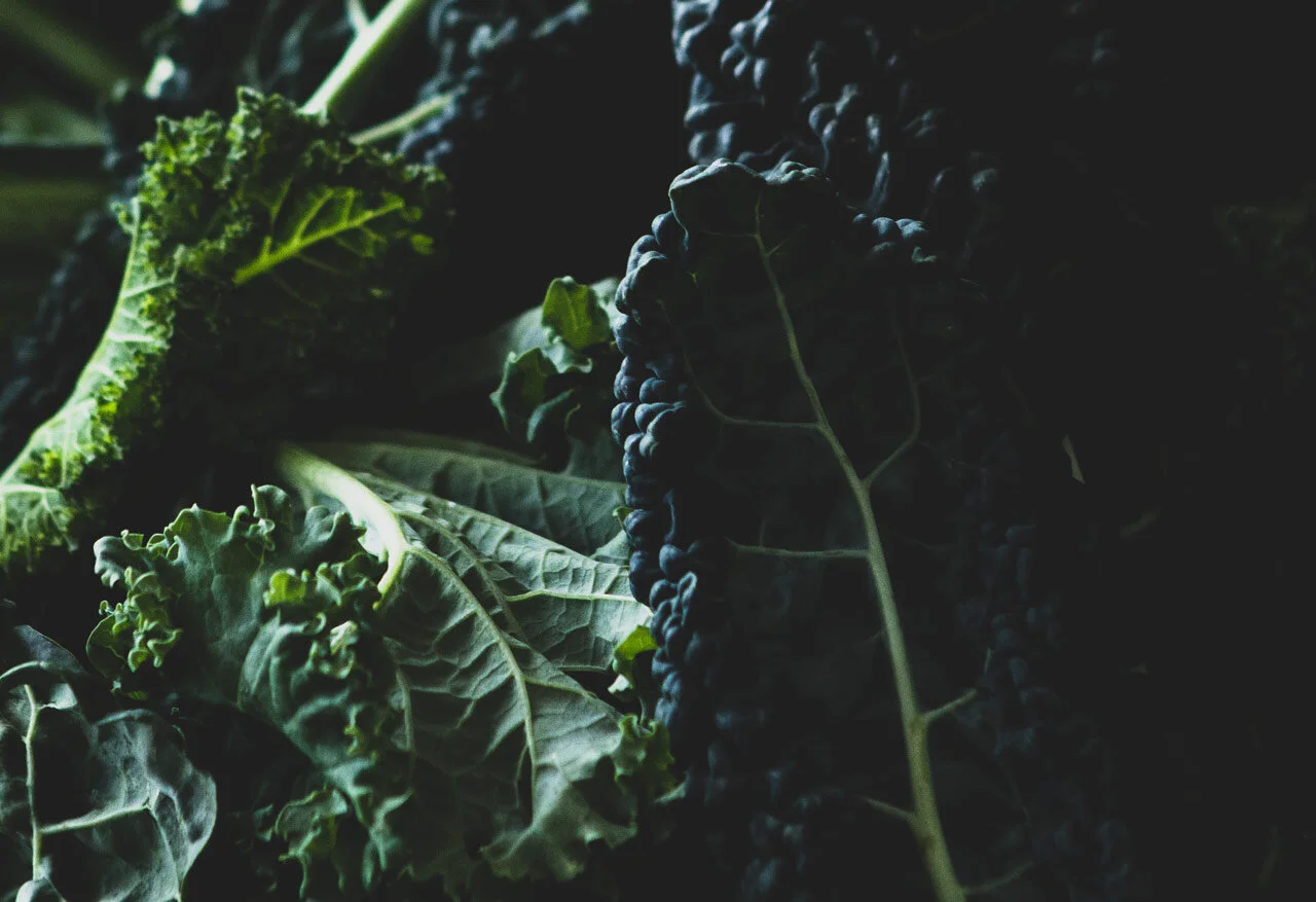 christina-rumpf-eLeVN3Rckj4-unsplash_Websize.jpg