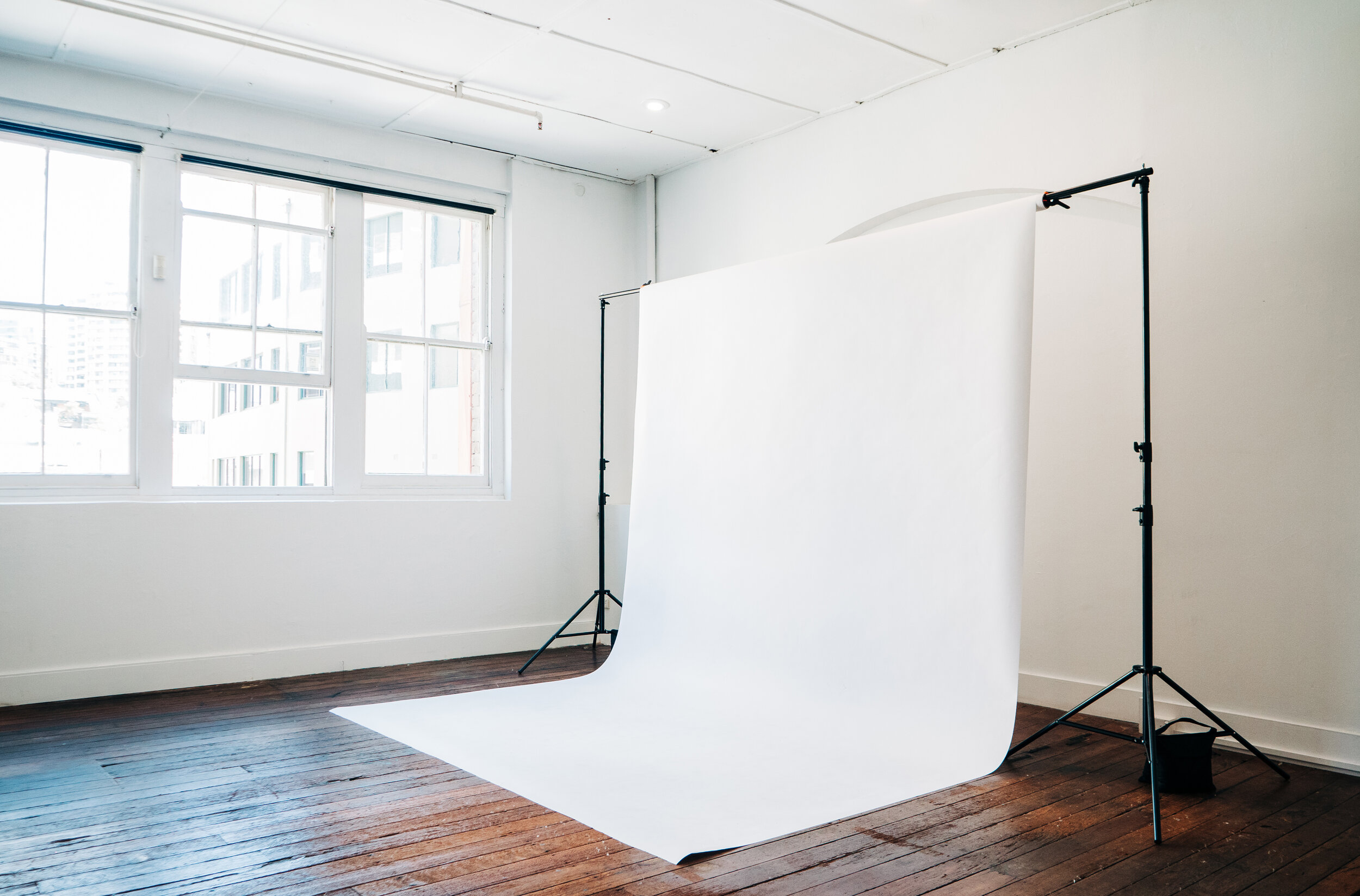 Sydney Photography Studio for Hire STUDIO PALMS — STUDIO PALMS