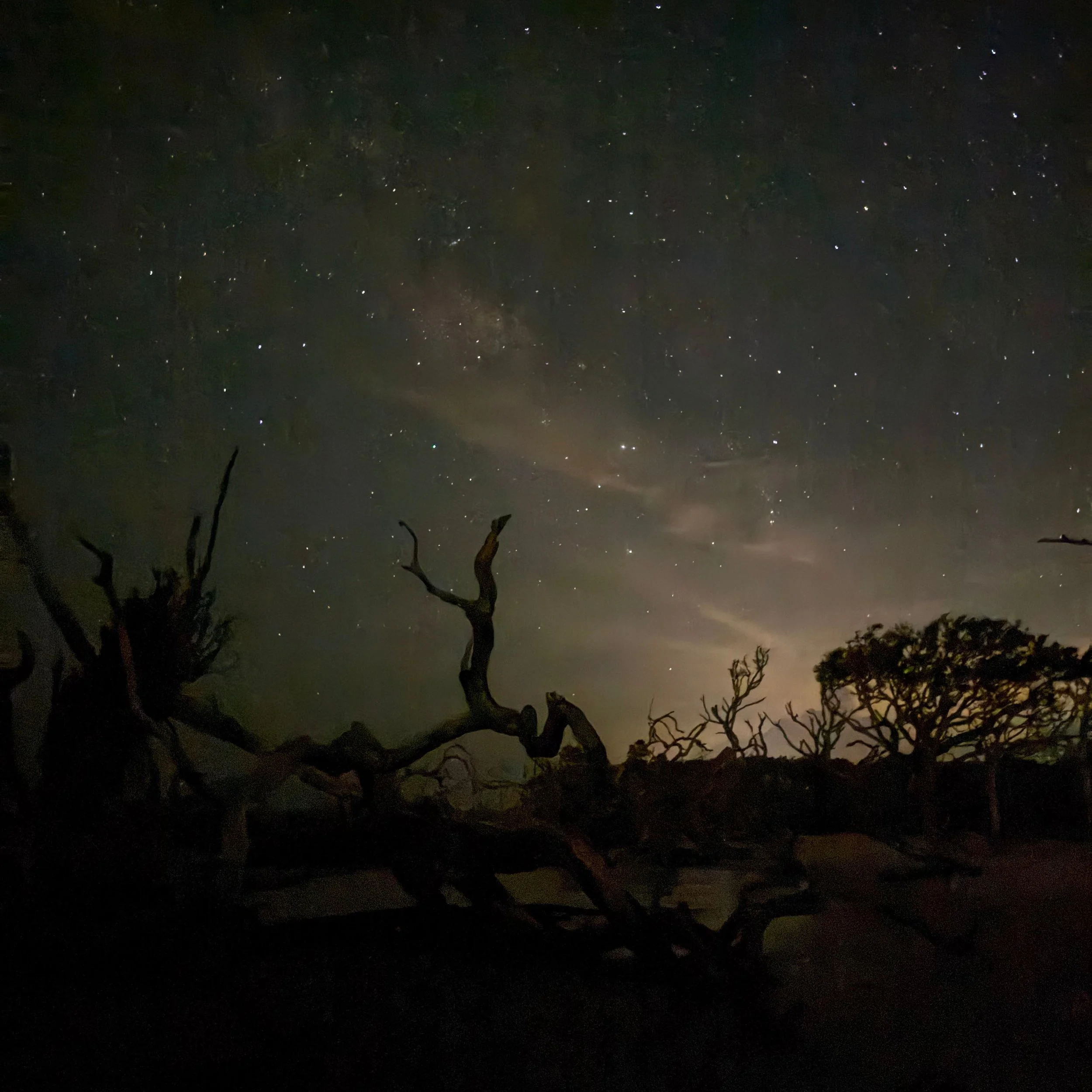 Just a few peeks of my unexpected week in the @goldenisles with oldest kiddo. (His star/Milky Way picts are far better, mine are just on my iphone 📷)

The last one reminds me of a @scottlistfield_personal painting, if only we'd brought an astronaut 