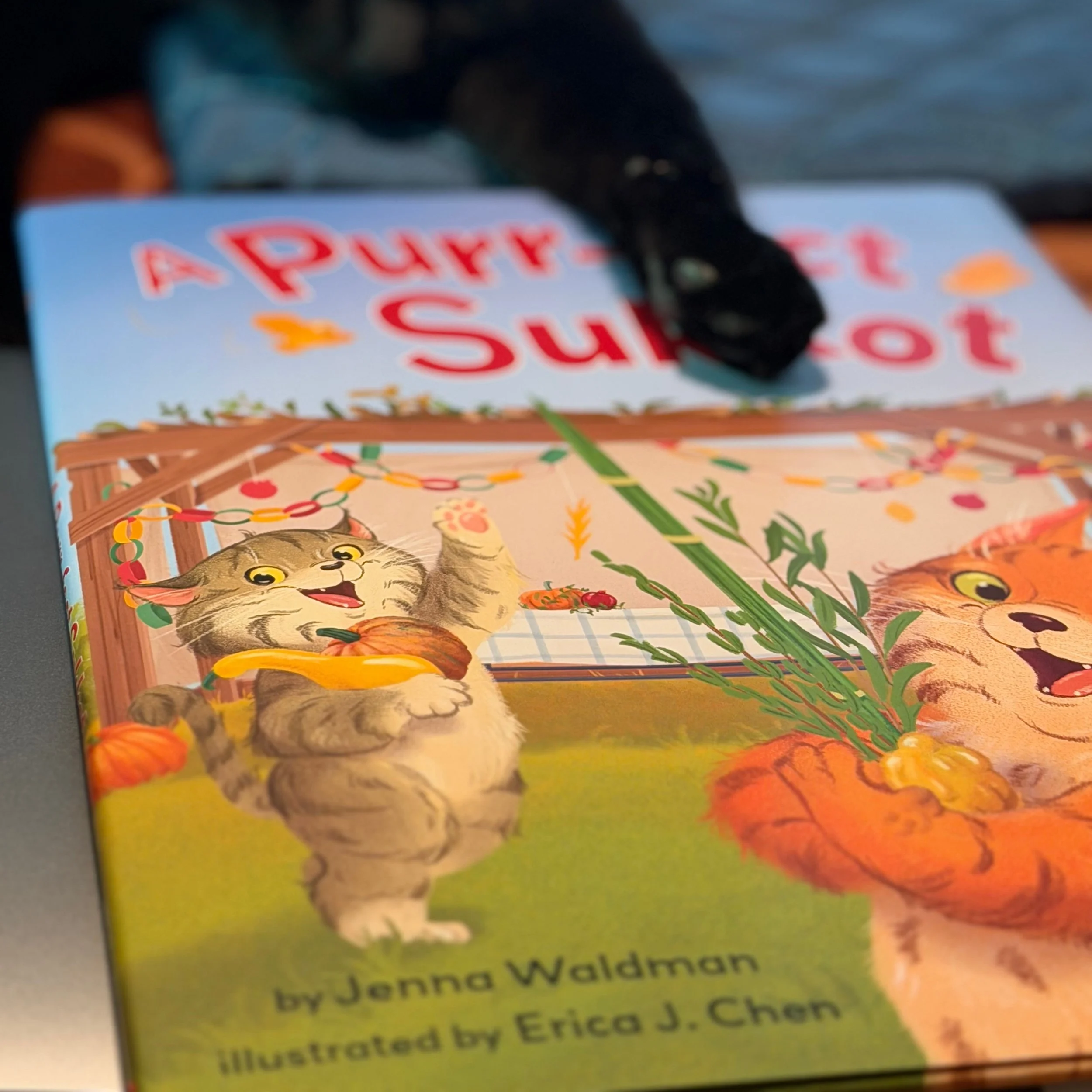 It's a meow-velous book birthday on 9/1! 😺 

(Instead of Rabbit, Rabbit, Rabbit, give Meow, Meow, Meow, a try!) @loridegman 

A Purr-fect Sukkot is joining A Purr-fect Passover and Purr-im Time on the shelves 😻

Signed copies available at @lindentr