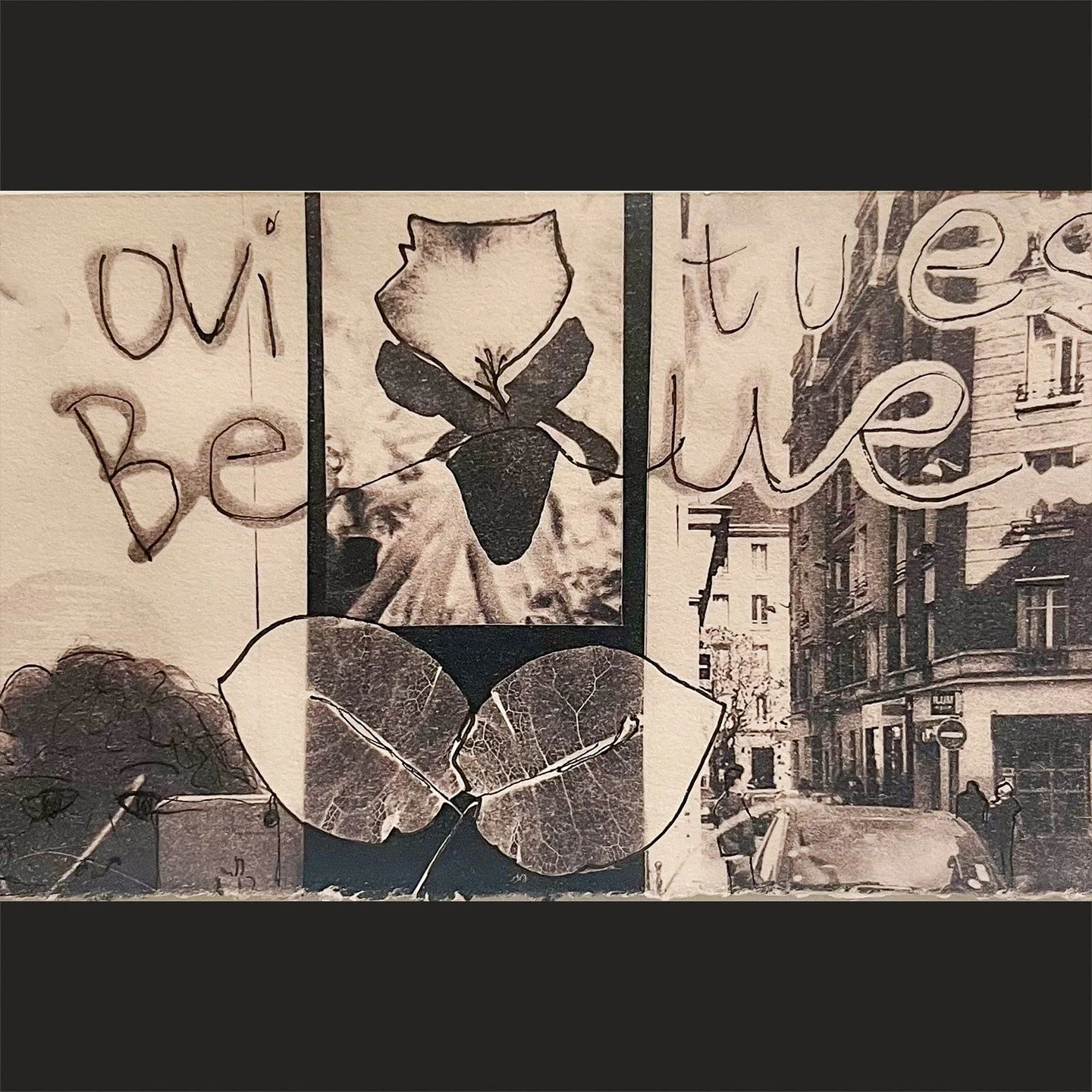 &ldquo;Oui! Tu Es Beau&rdquo;

🦋 Cyanotype print
on Canson Montval, 300gsm
Toned with Wine Tannin,
Original photo negatives and positives featuring Bouganvilla blossoms
with pen and ink
📸 Original Iphone mirror photo, 
Paris, FR 2018

#cyanotype #c