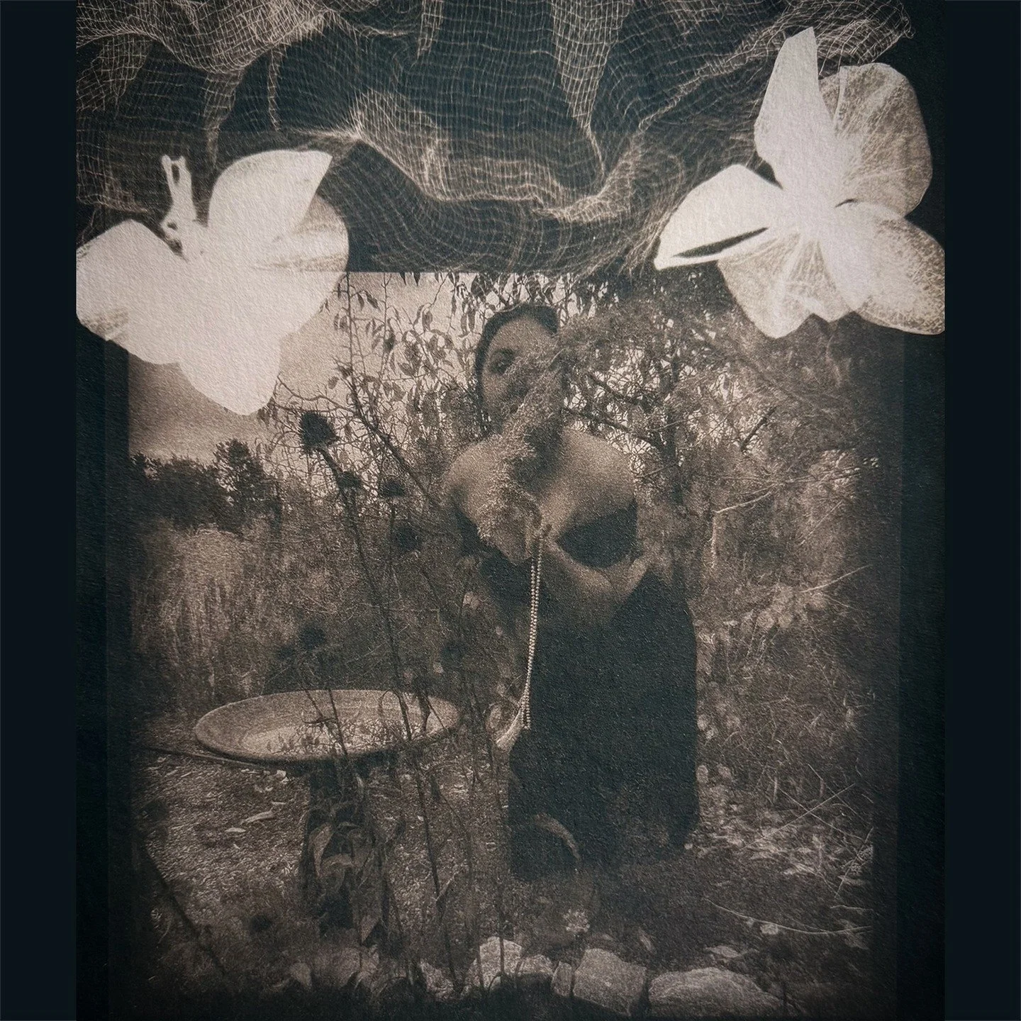 &ldquo;Holding Pearls&rdquo;

🦋 Cyanotype print
on Hahnem&uuml;hle Bamboo Mixed Media, 265gsm Toned with Jet Black Hollyhocks + dash of Oak Gall
featuring Pressed Orchid Blossoms, Cheesecloth

#cyanotype&nbsp;#cyanotypeprint&nbsp;#cyanotypeart&nbsp;