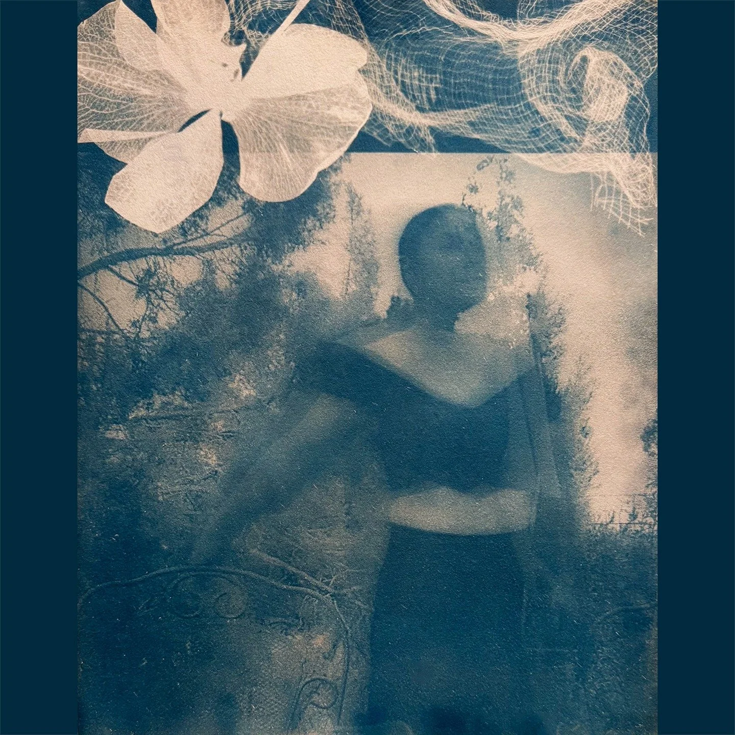 &ldquo;Floating Points&rdquo;

🦋 Cyanotype print
of Original Long Exposure Photo
on Arches Satine, 90gsm
Toned with Black Tea, Jet Black Hollyhocks + dash of Oak Gall
featuring Pressed Orchid Blossoms, Cheesecloth

#cyanotype&nbsp;#cyanotypeprint&nb