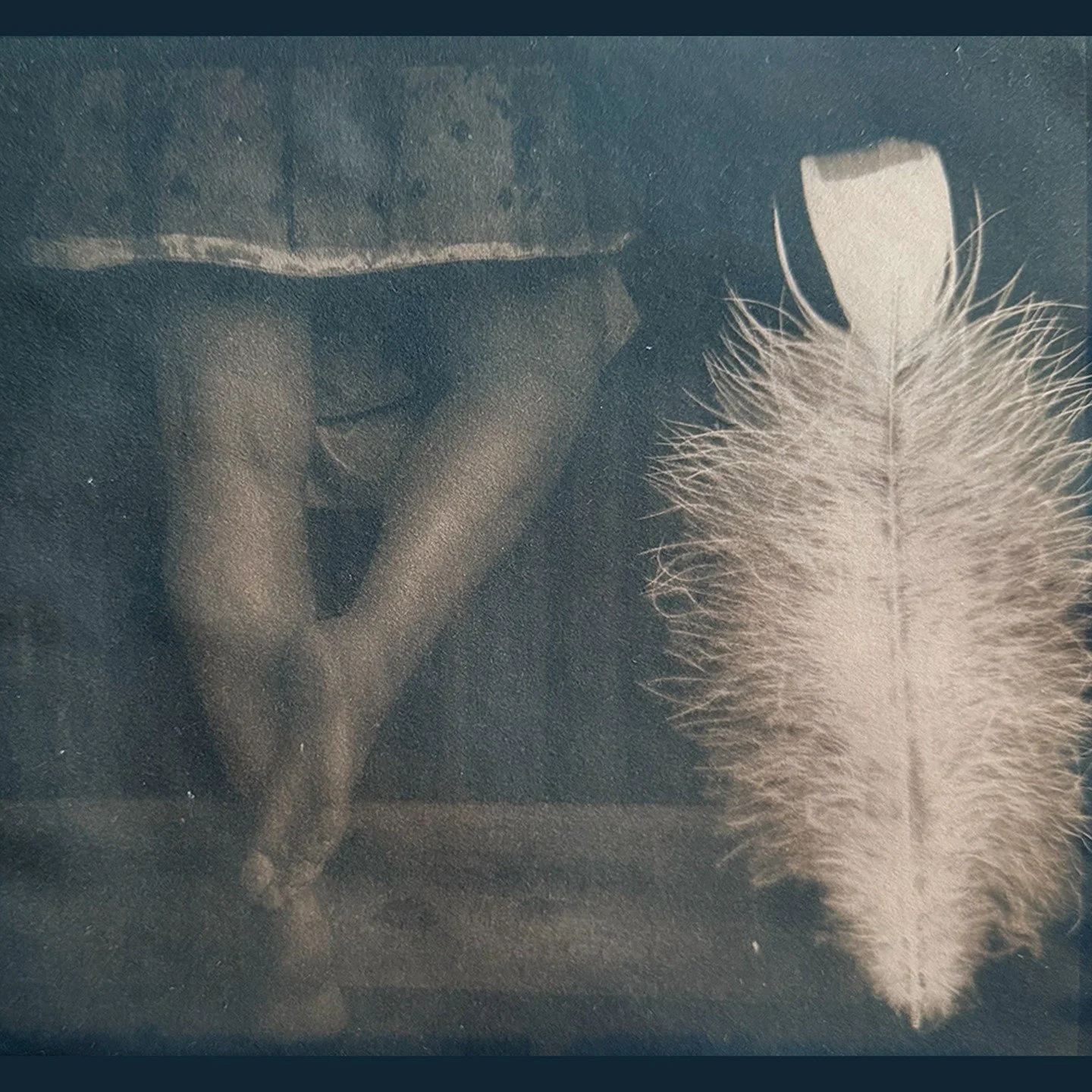&ldquo;Feather Dance&rdquo;

🦋 Cyanotype
of Original Photo
toned with Tea, Jet Black Hollyhock, Oak Gall
on Arches Satine, 90gsm featuring Feather 

#cyanotype&nbsp;#cyanotypeprint&nbsp;#cyanotypeart&nbsp;
#cyanotypie&nbsp;#cianotipia
#printmaking

