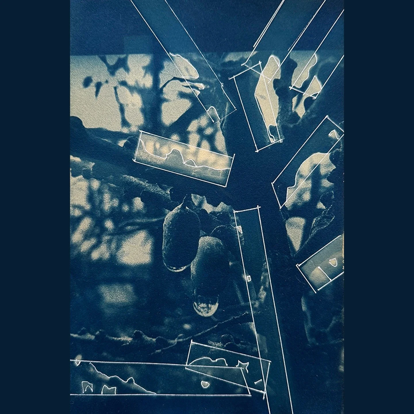 &ldquo;Direction of Growth&rdquo;

🦋 Cyanotype
of Original Photo
toned with Tea, 
on Arches Satine, 90gsm
featuring Letterpress Furniture Photograms, 
white gel ink 

#cyanotype&nbsp;#cyanotypeprint&nbsp;#cyanotypeart&nbsp;
#cyanotypie&nbsp;&nbsp;#c