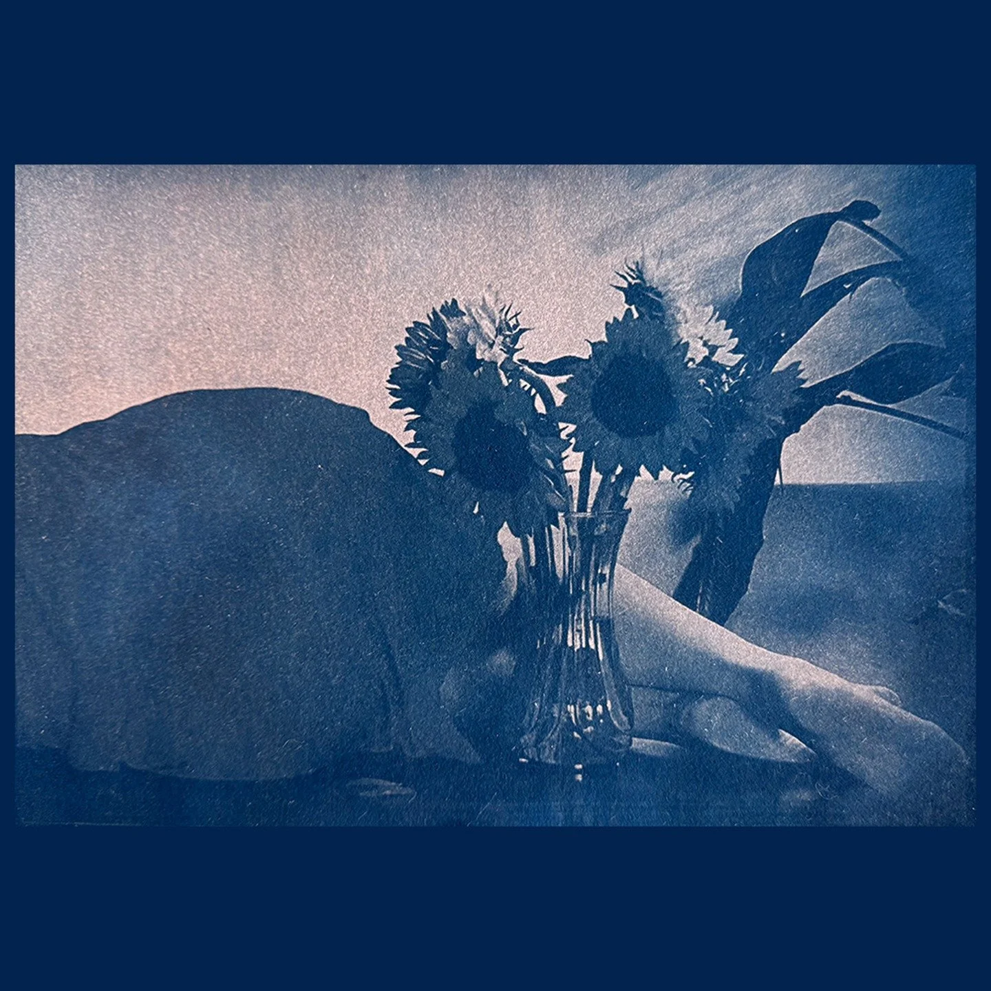 &ldquo;Resting with Sunflowers&rdquo;

🦋 Cyanotype
of Original Photo
toned with Borax and Oak Gall, 
on Arches Satine, 90gsm

#cyanotype&nbsp;#cyanotypeprint&nbsp;#cyanotypeart&nbsp;
#cyanotypie&nbsp;&nbsp;#cianotipia&nbsp;#cianotipo
&nbsp;#cyanotyp