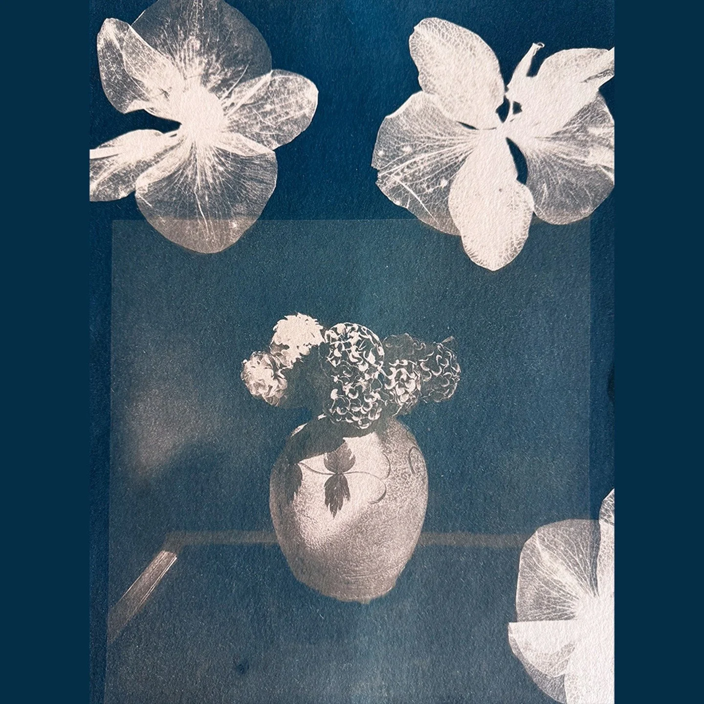 &ldquo;Still Life in Flight&rdquo;

🦋 Cyanotype
of Original Photo
Hand-toned with Borax and Oak Gall 
on Hahnem&uuml;hle Bamboo Mixed Media, 265gsm
featuring Pressed Orchid Blossoms
11&rdquo;x15&rdquo; 

#cyanotype&nbsp;#cyanotypeprint&nbsp;#cyanoty
