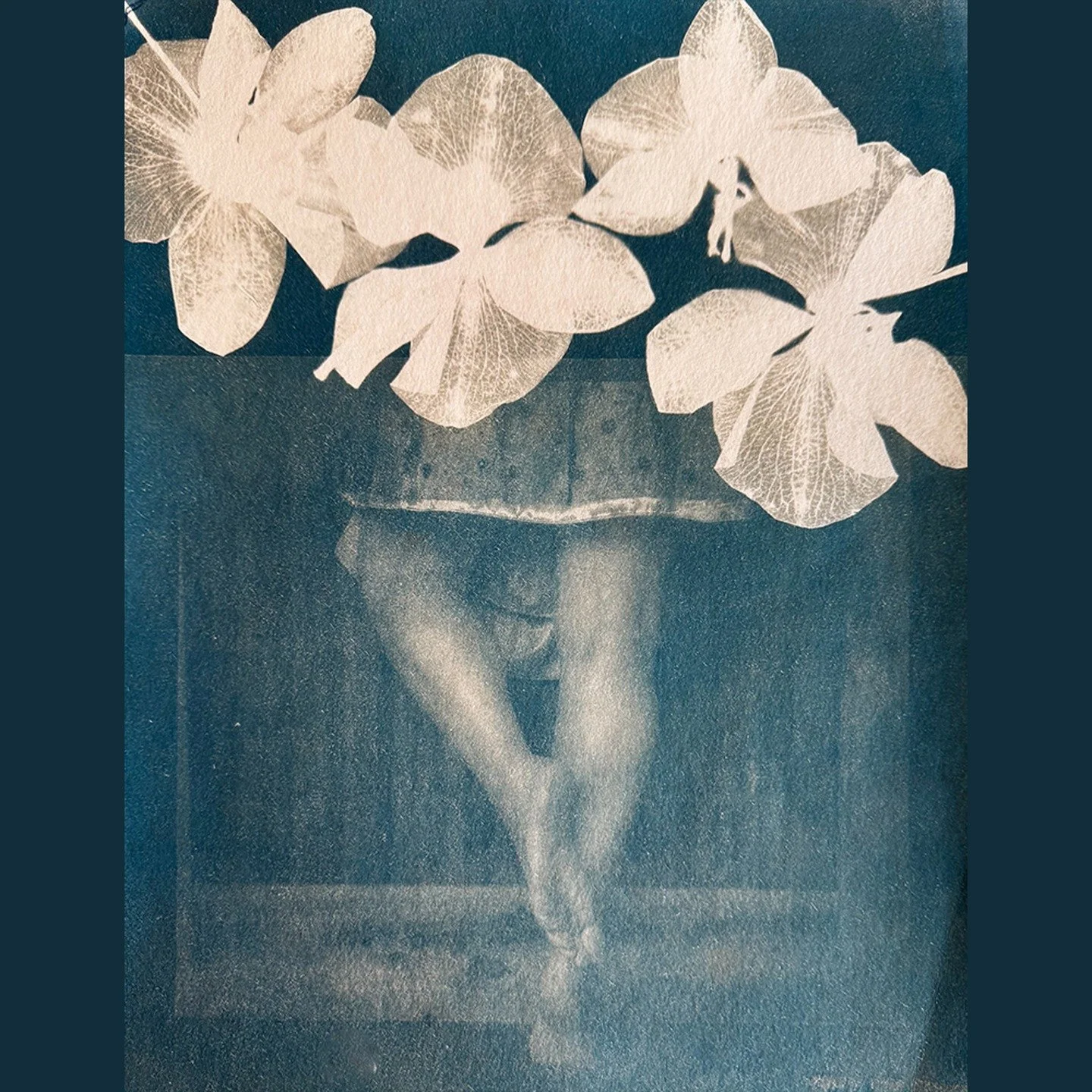 &ldquo;Happy Dance&rdquo;

🦋 Cyanotype
of Original Photo
hand-toned with Borax and Black Tea
on Hahnem&uuml;hle Bamboo Mixed Media, 265gsm
featuring Pressed Orchid Blossoms
11&rdquo;x15&rdquo; 

#cyanotype&nbsp;#cyanotypeprint&nbsp;#cyanotypeart&nbs