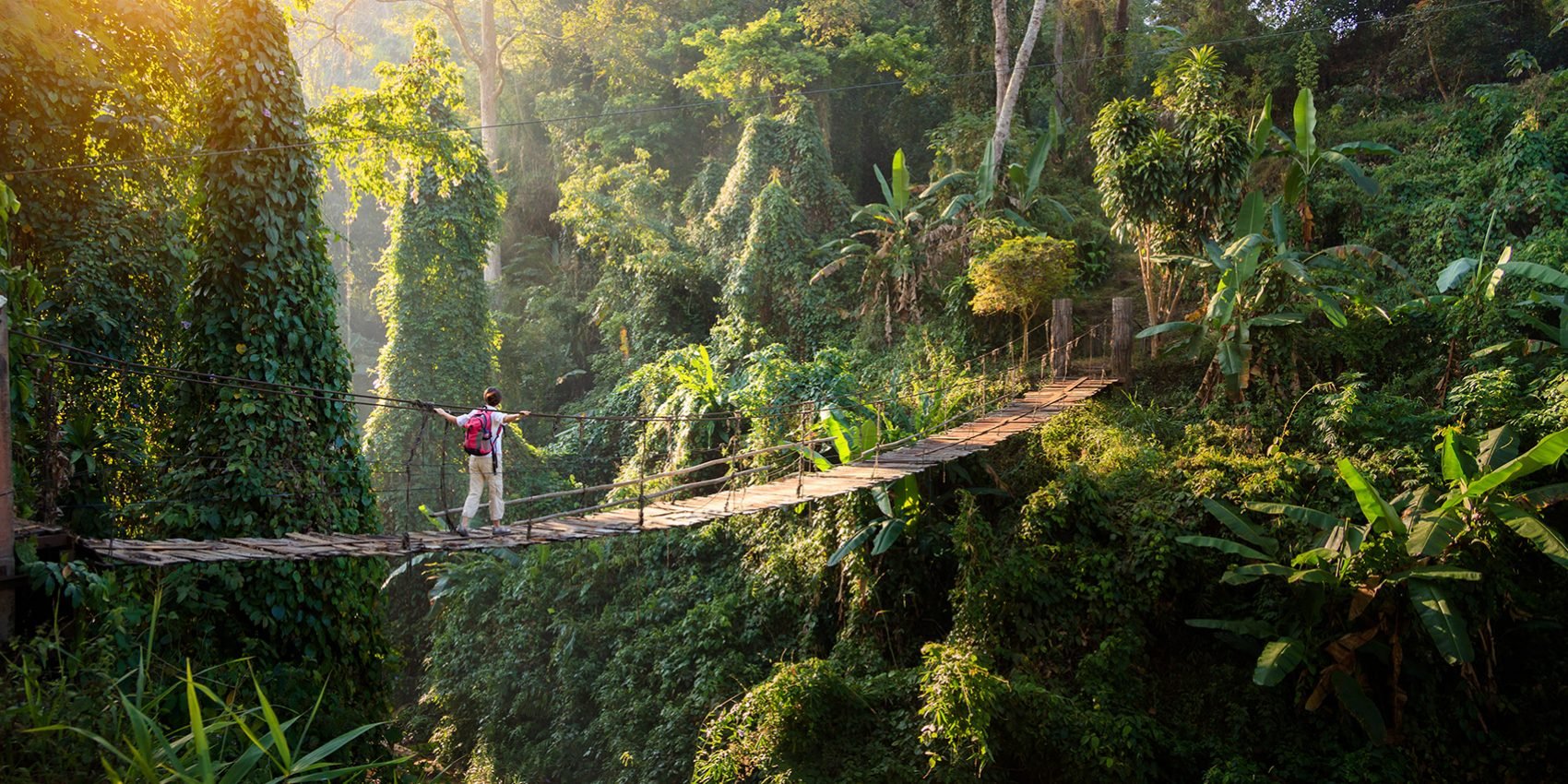 Proverbs: A Jungle Gym for your mind