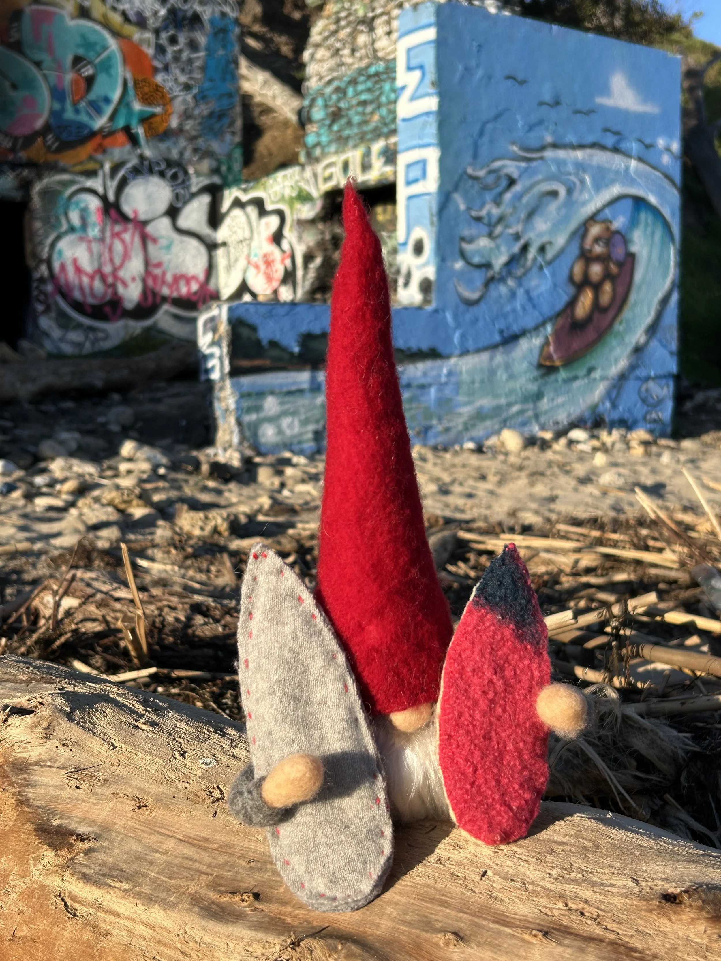 SurfGnome REdHat 2 Boards Jail.jpeg