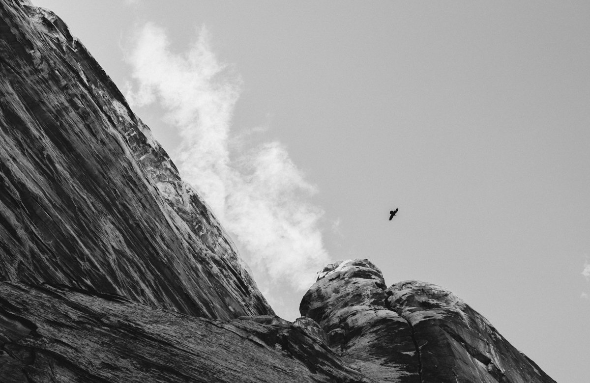 _DSC9595.jpg