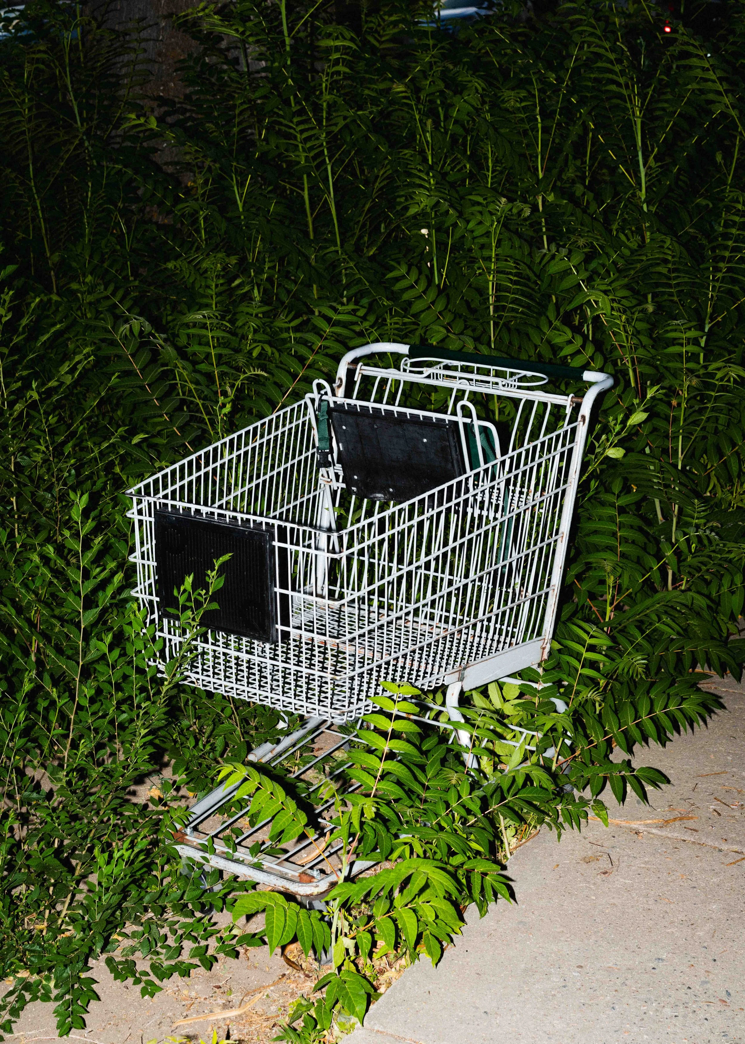 Neghborhood-5.jpg