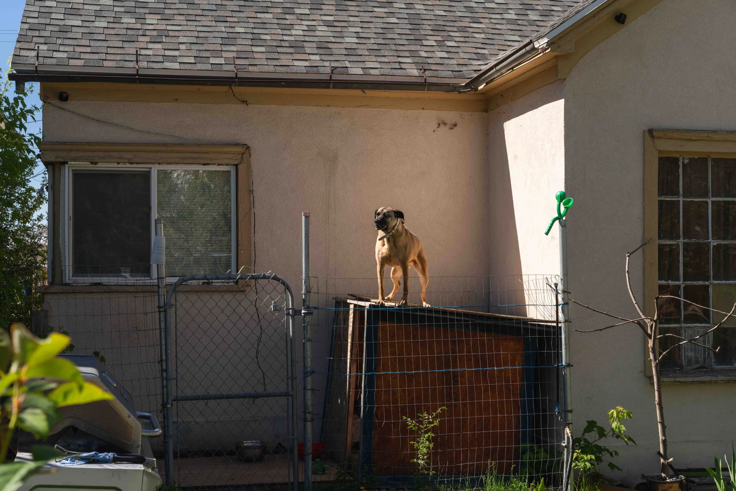 Neghborhood-20.jpg