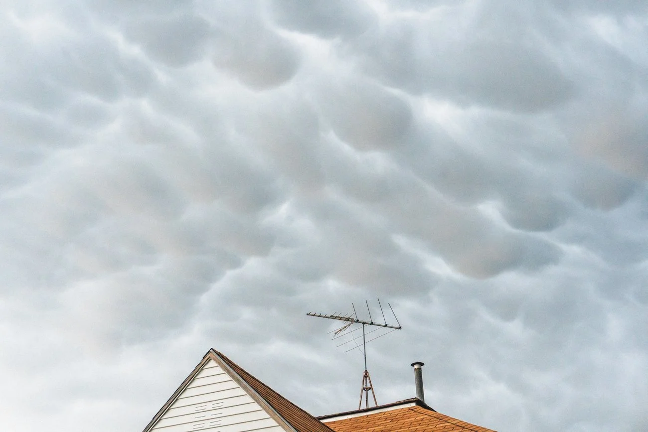 Spring / Color - 2023