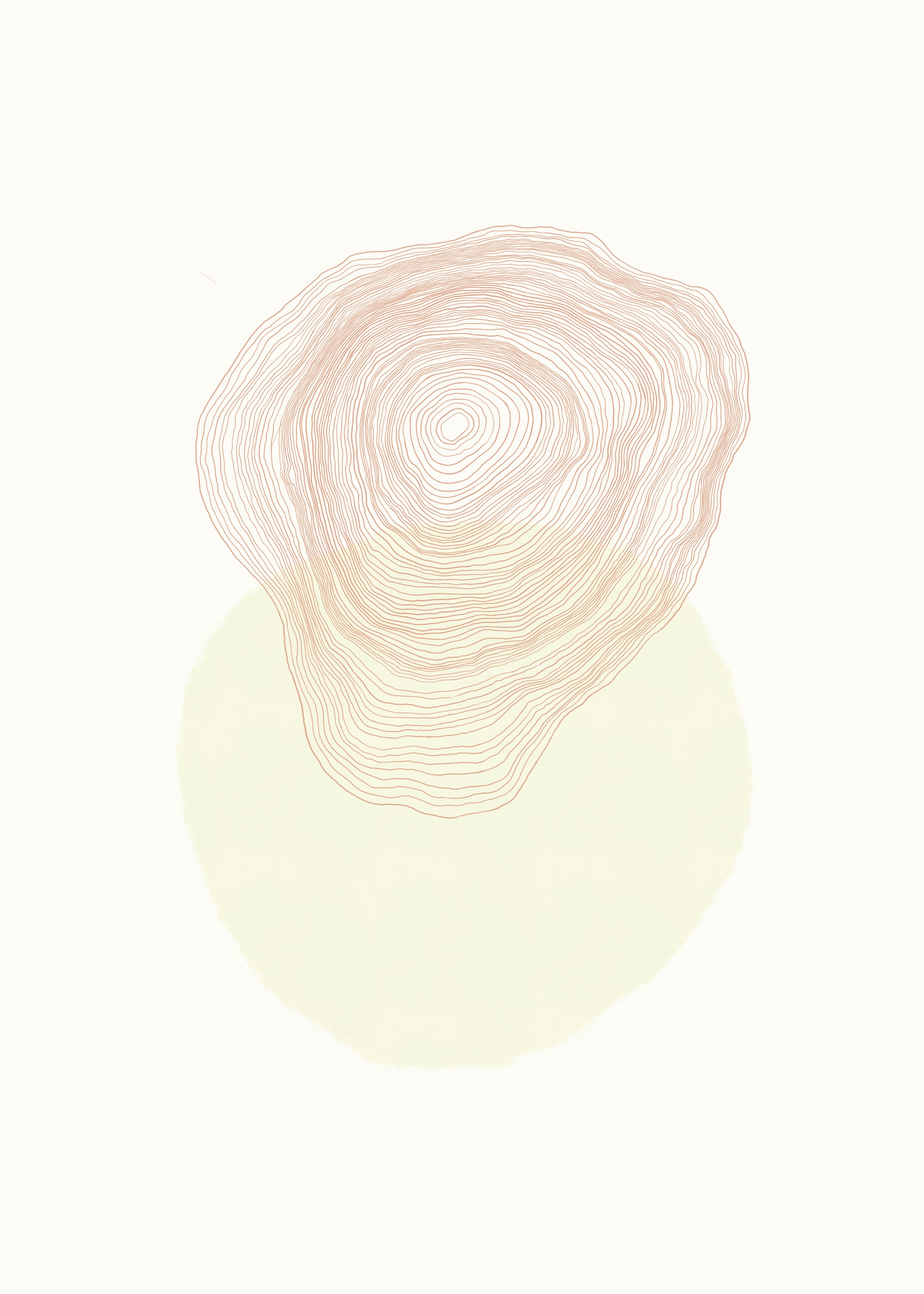 Untitled_Artwork 41.jpg