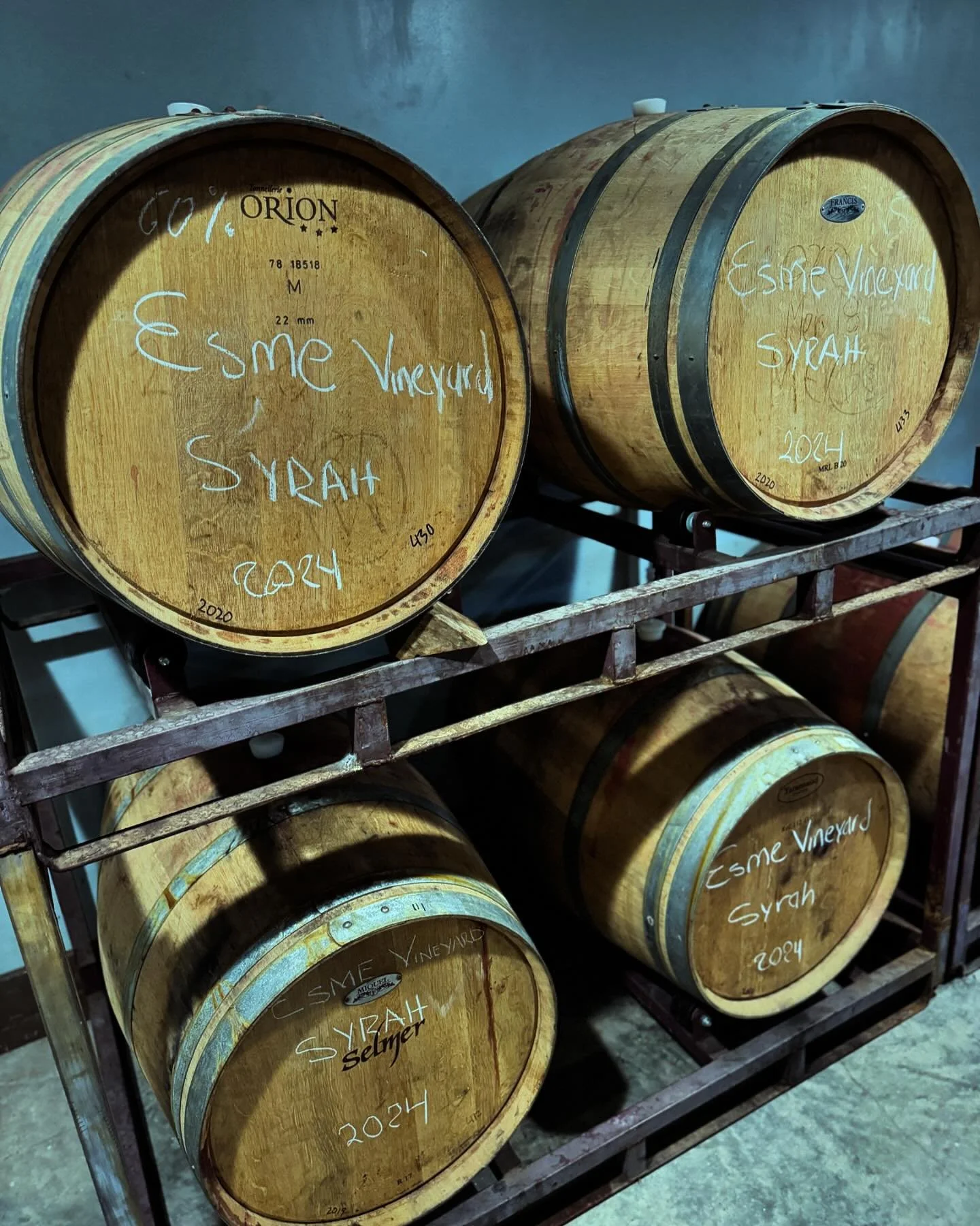 Now that is a pretty sight. :) #syrah