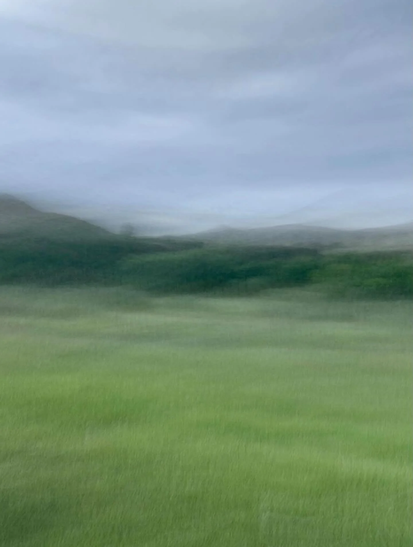 Join us TONIGHT at BAU Gallery for our PREVIEW PARTY. @solipierce opens with unEARTHED @llaurolazin and @gfkimmerling opens with Trace Element and @danielberlinpainter opens with Intermediaries

Preview Party, Friday, November 7, 5-7pm
Music by Steve