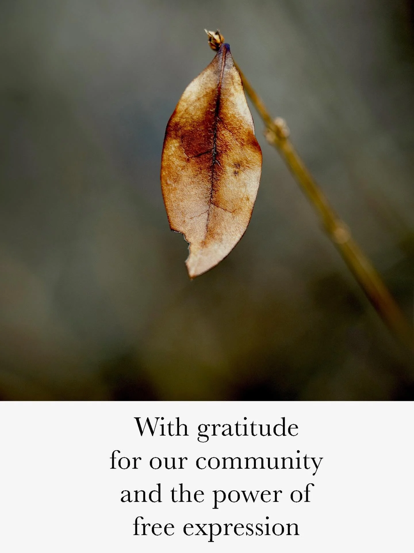 Celebrating freedom, embracing kindness and feeling grateful. 

From all of us at BAU we are sending peaceful thanksgiving wishes to you all. 

📷 @gfkimmerling Untitled No. 52 (California priced) 2025 archival pigment print on view in Trace Element 