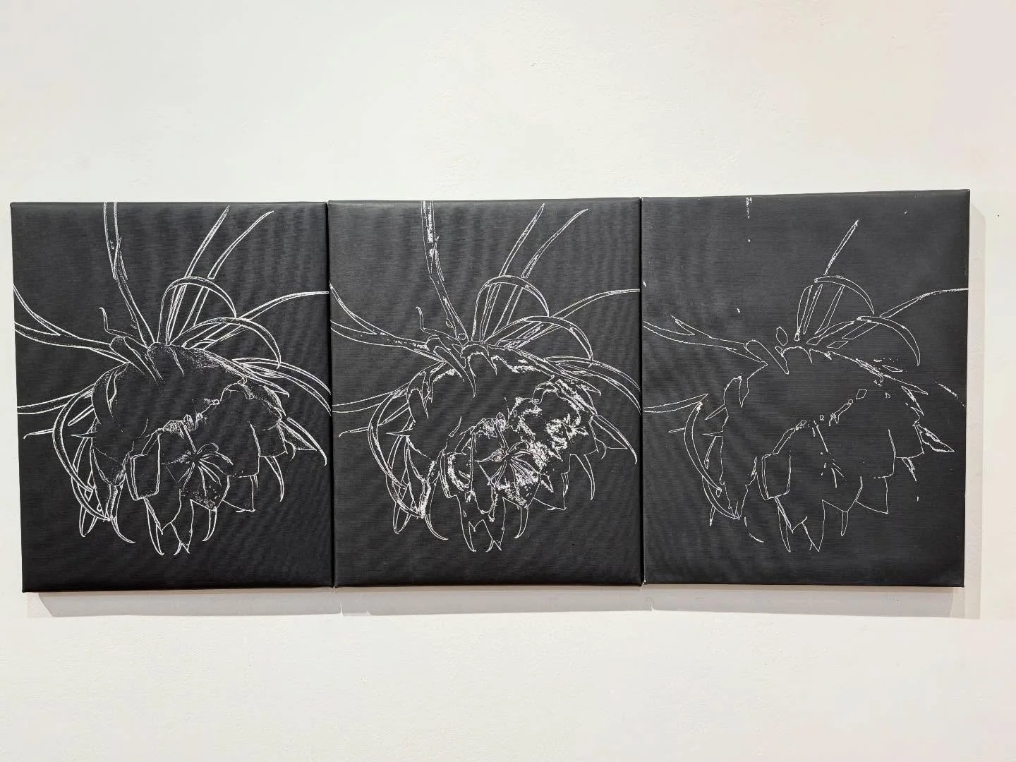 BAU Gallery is open today and all weekend. Stop by to see our current exhibition Trace Element in Gallery 2 featuring @gfkimmerling and @llaurolazin 

Gallery hours:
FRIDAY 4-7pm 
SATURDAY 12-6pm
SUNDAY 12-6pm 

📷 image 1 Linda Lauro Lazin Threshold