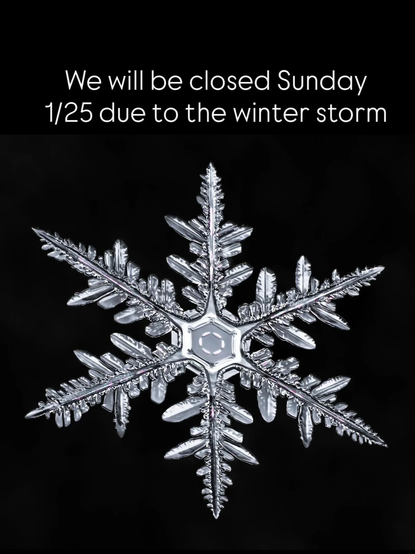 We hope that you all stay safe during the winter storm. The gallery will be closed 1/25 and will reopen next Sat 1/31