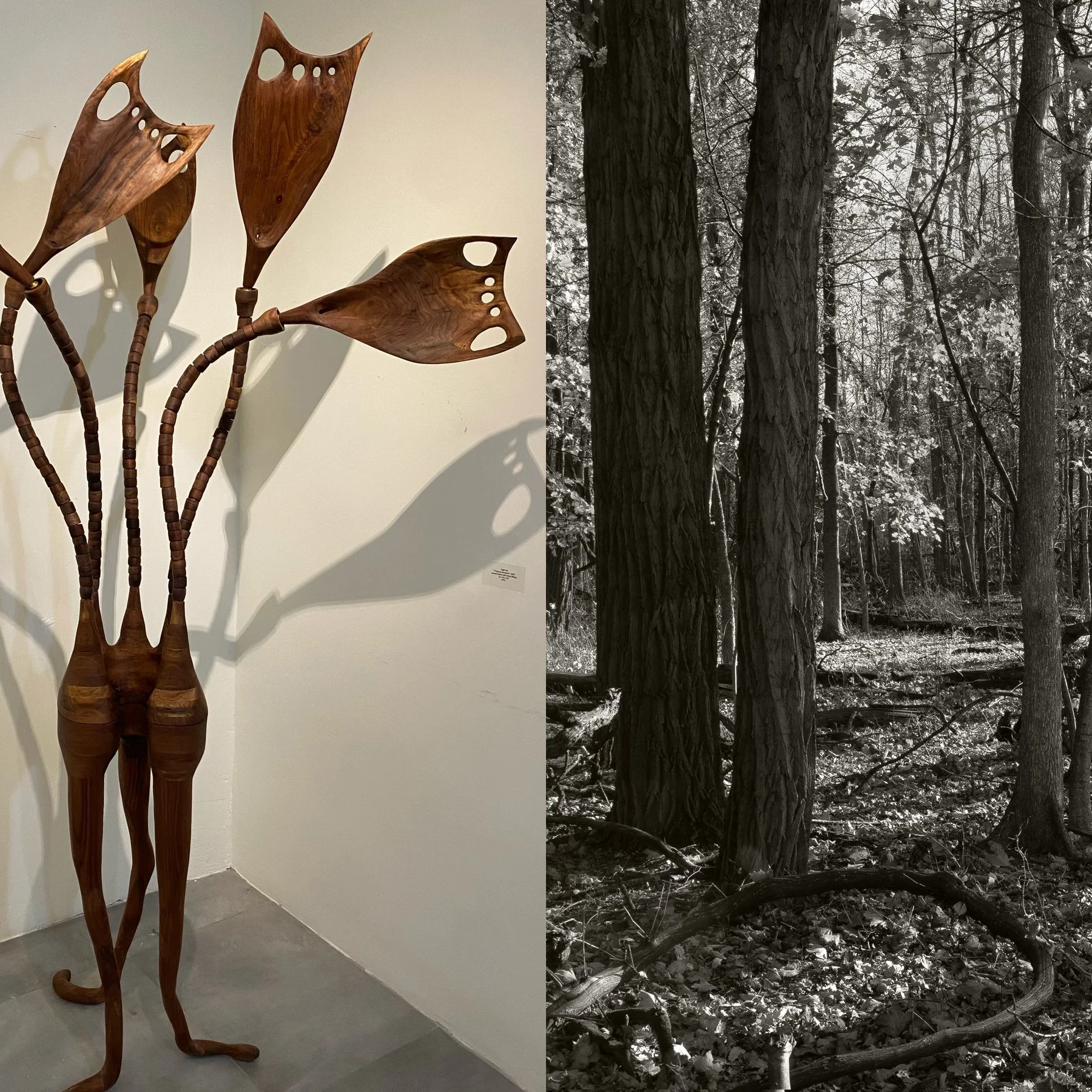 Artists Talk: “Field Work: A Conversation with Nate Hill and George Kimmerling”