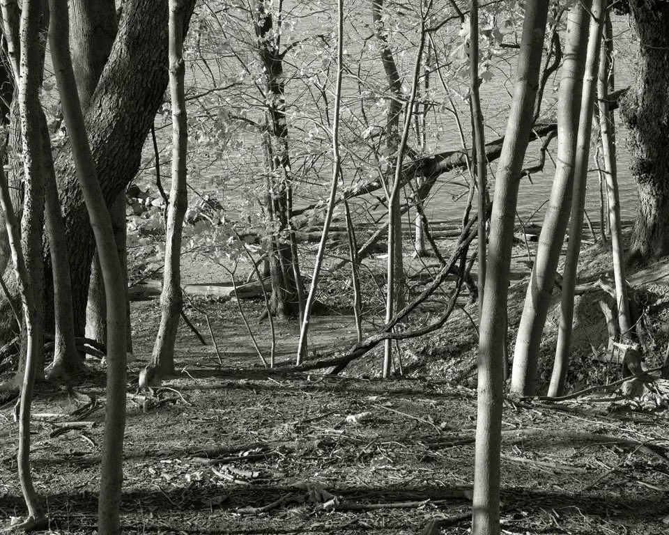 George Kimmerling The Unfinished History of Dennings Point Now on view until May 3rd
Now a state park, Denning&rsquo;s Point has a complicated&mdash;and distinctly American&mdash;history. Once owned by Dutch enslavers, Denning&rsquo;s Point is indeli