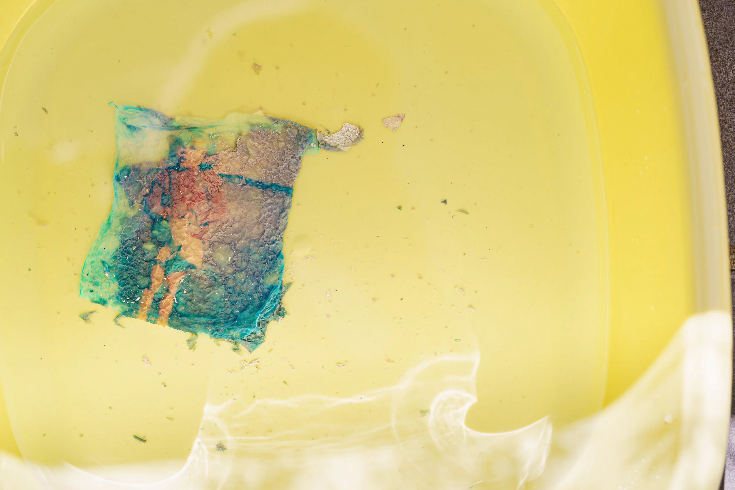 Exhibition: Síle Marrinan, Remnants I: Photography and the Nature of Remembering
