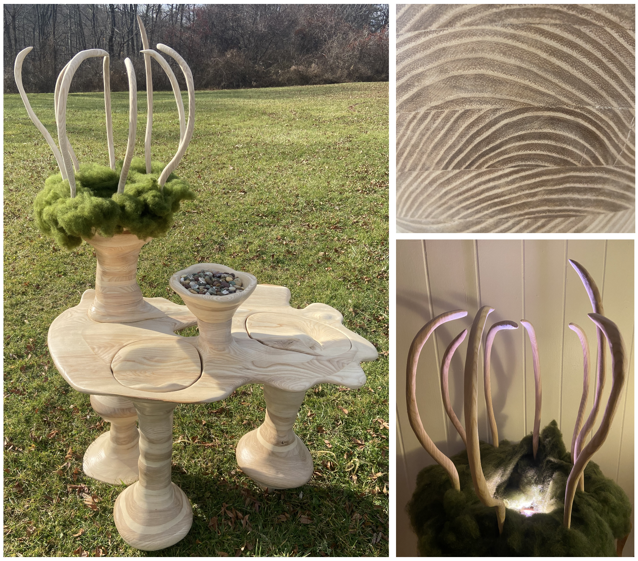 "Thallus," 2023, ash, wool, glass lens, stones, electrical components
