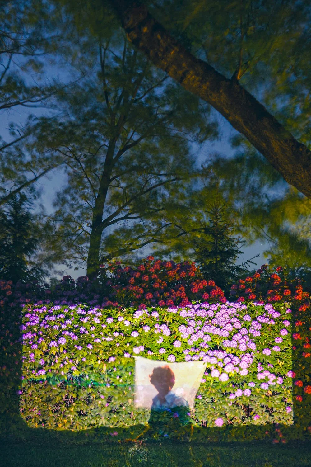 Connected by the Light, archival pigment print, 2025