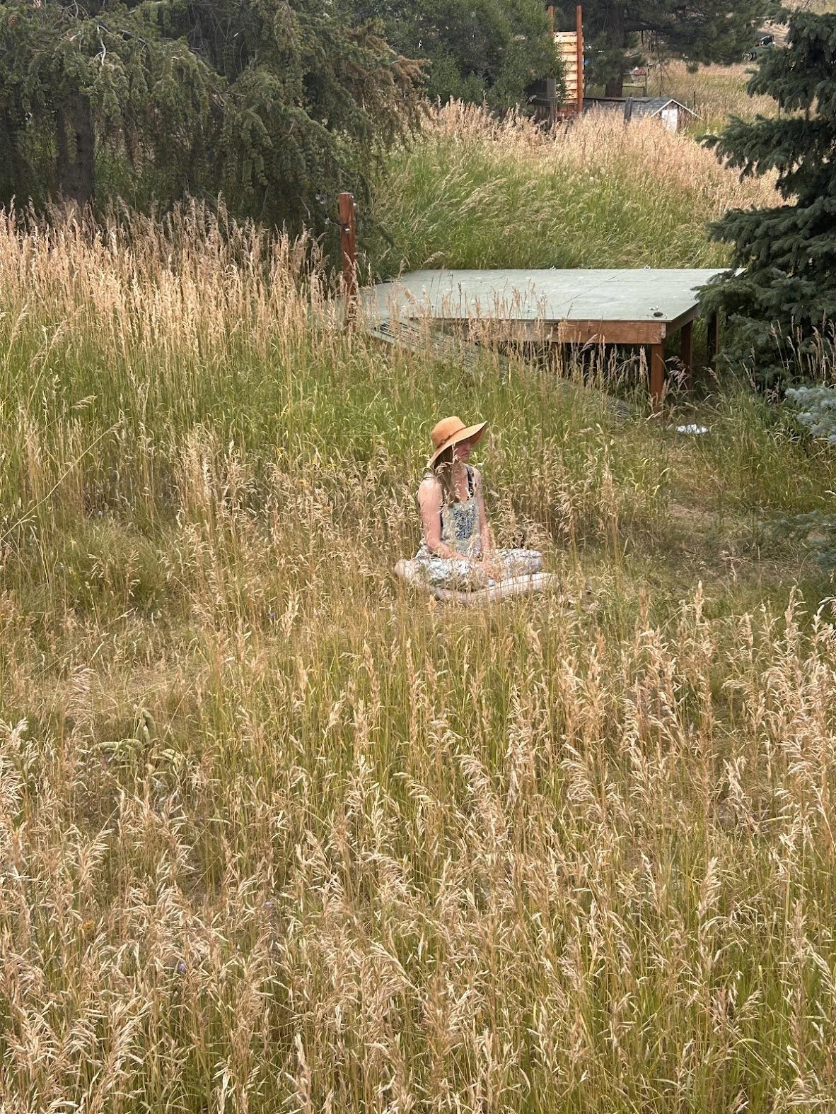 Monthly Mortality Meditation