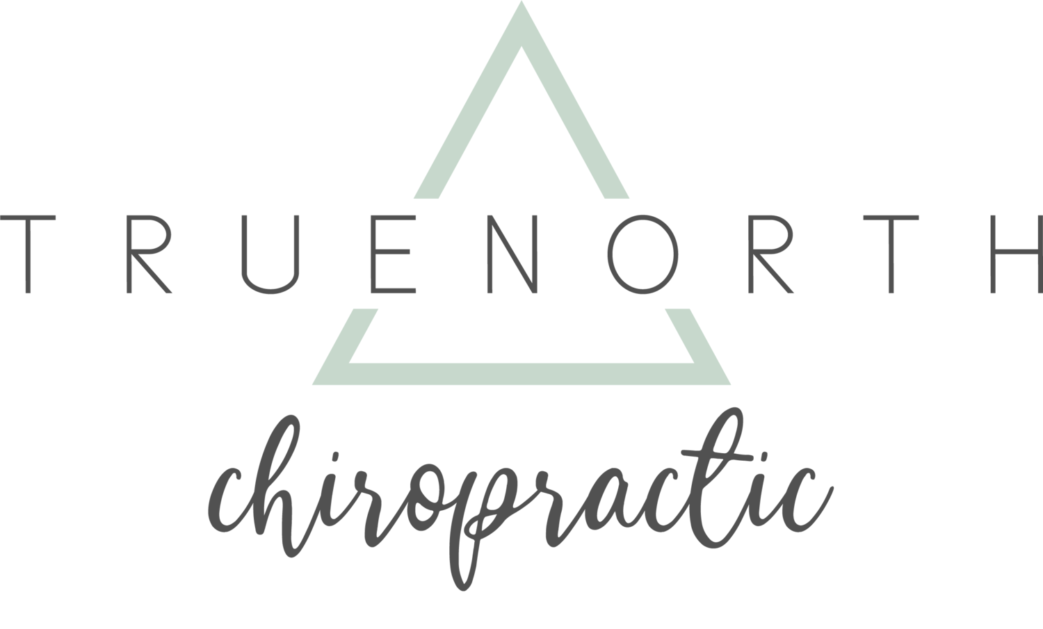 TrueNorth Chiropractic - Natural Health Care For The Whole Family
