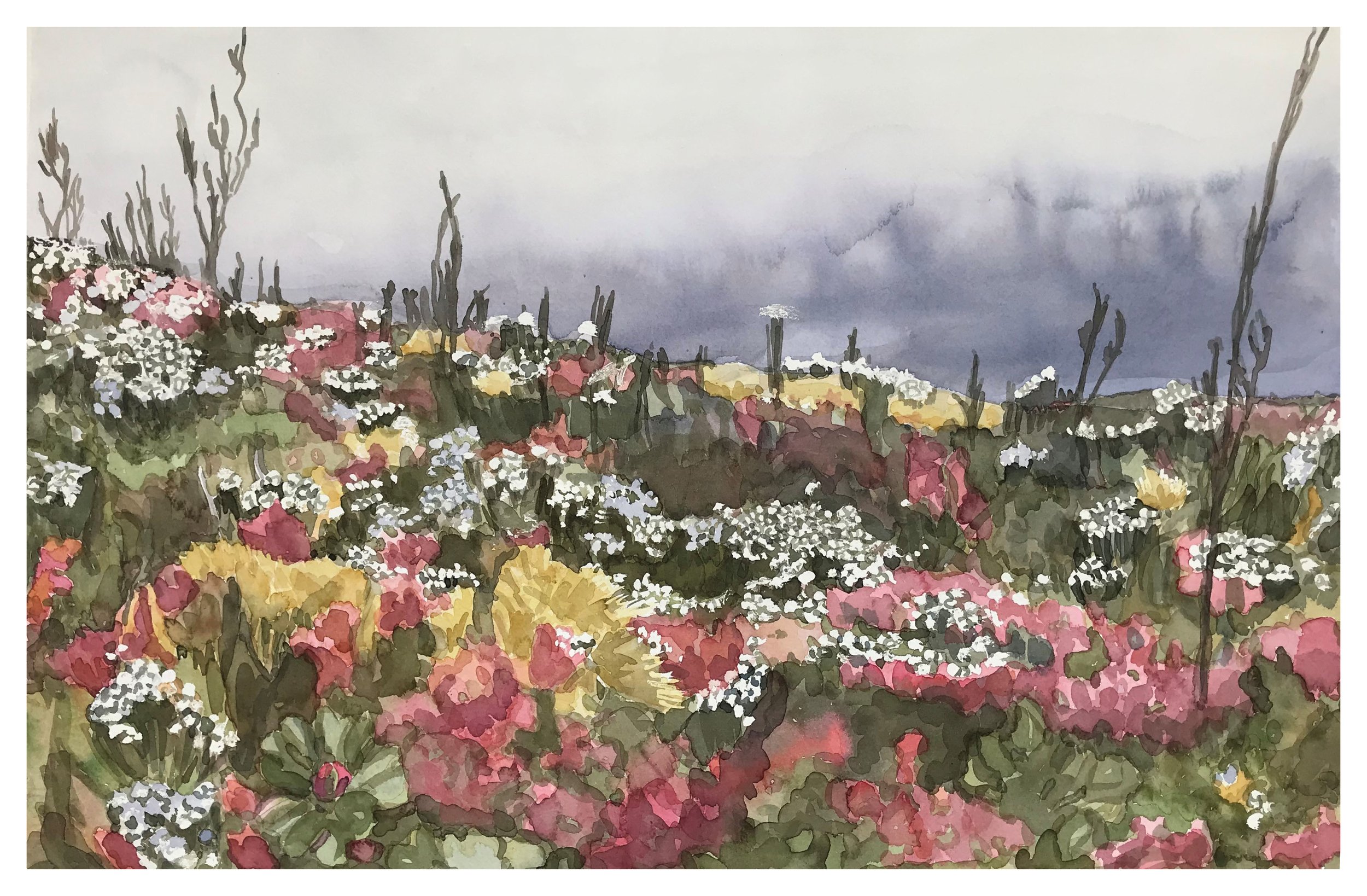 Fynbos, watercolor on paper, 15" x 22", 2021.