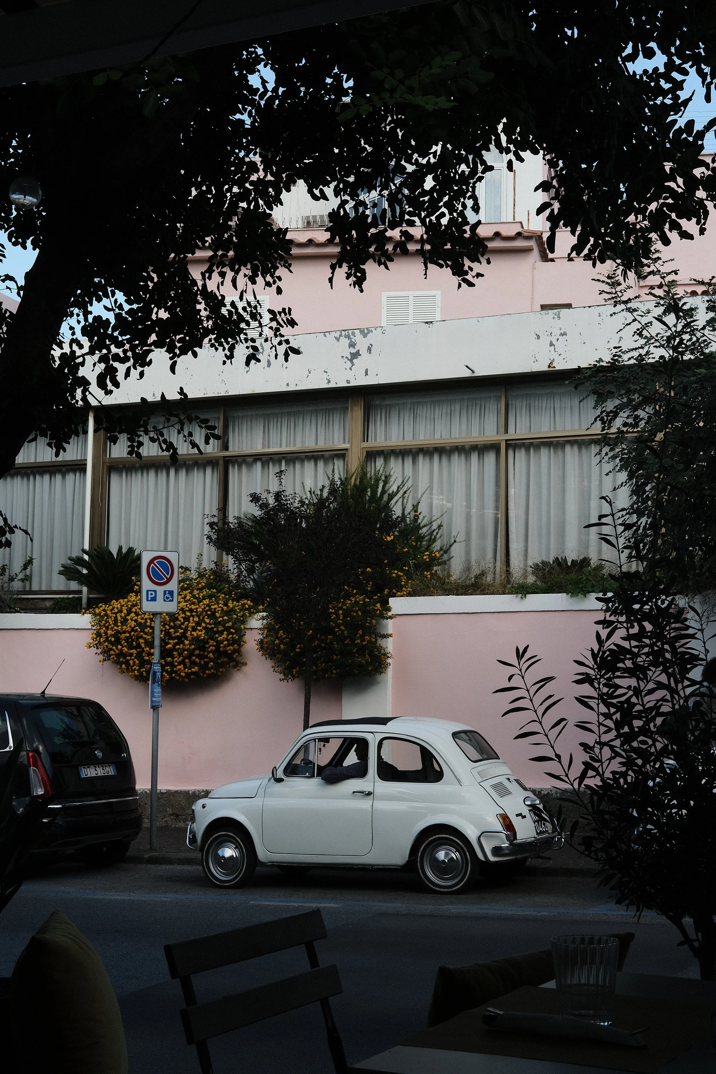 DSCF5381.JPG