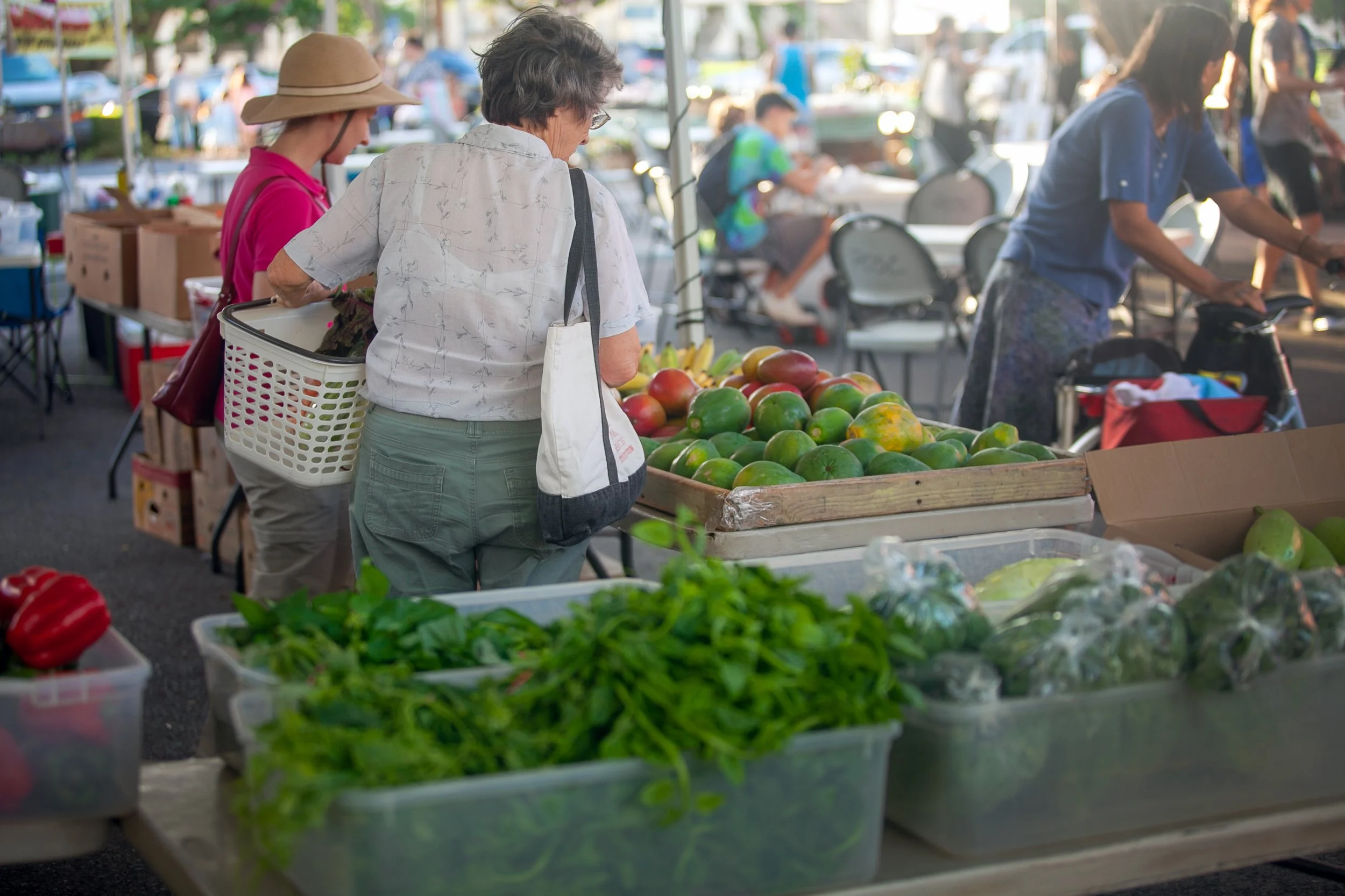 Progress on the plate: Food access wins from this session—and the work still ahead