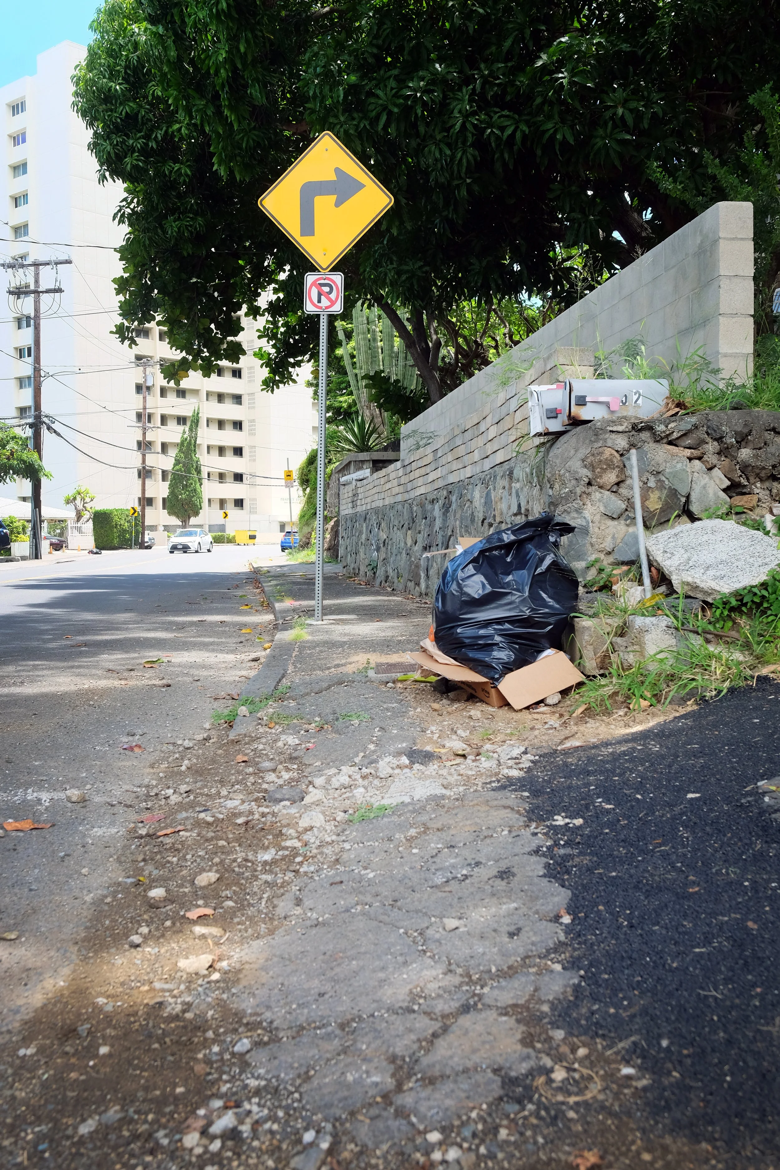 Oʻahu Mobility Needs