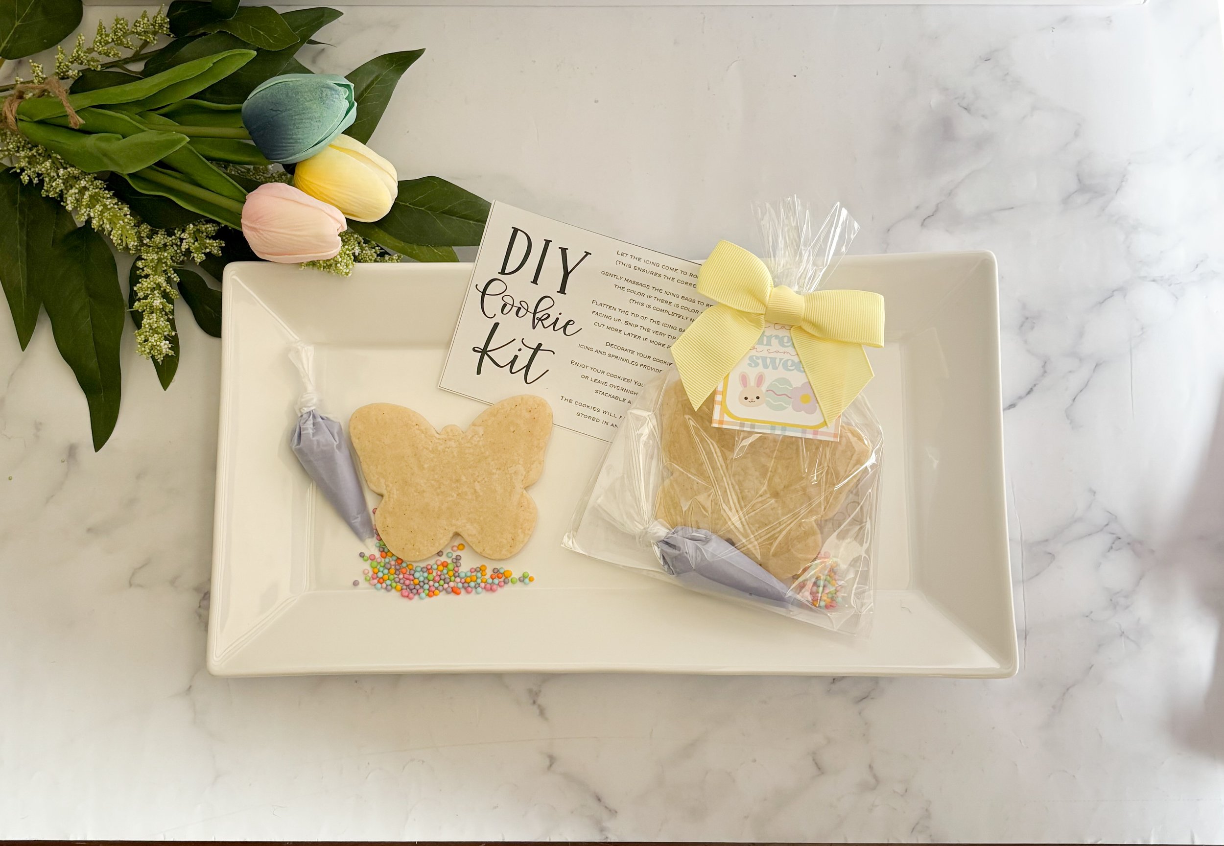 DIY Butterfly 2026.JPG