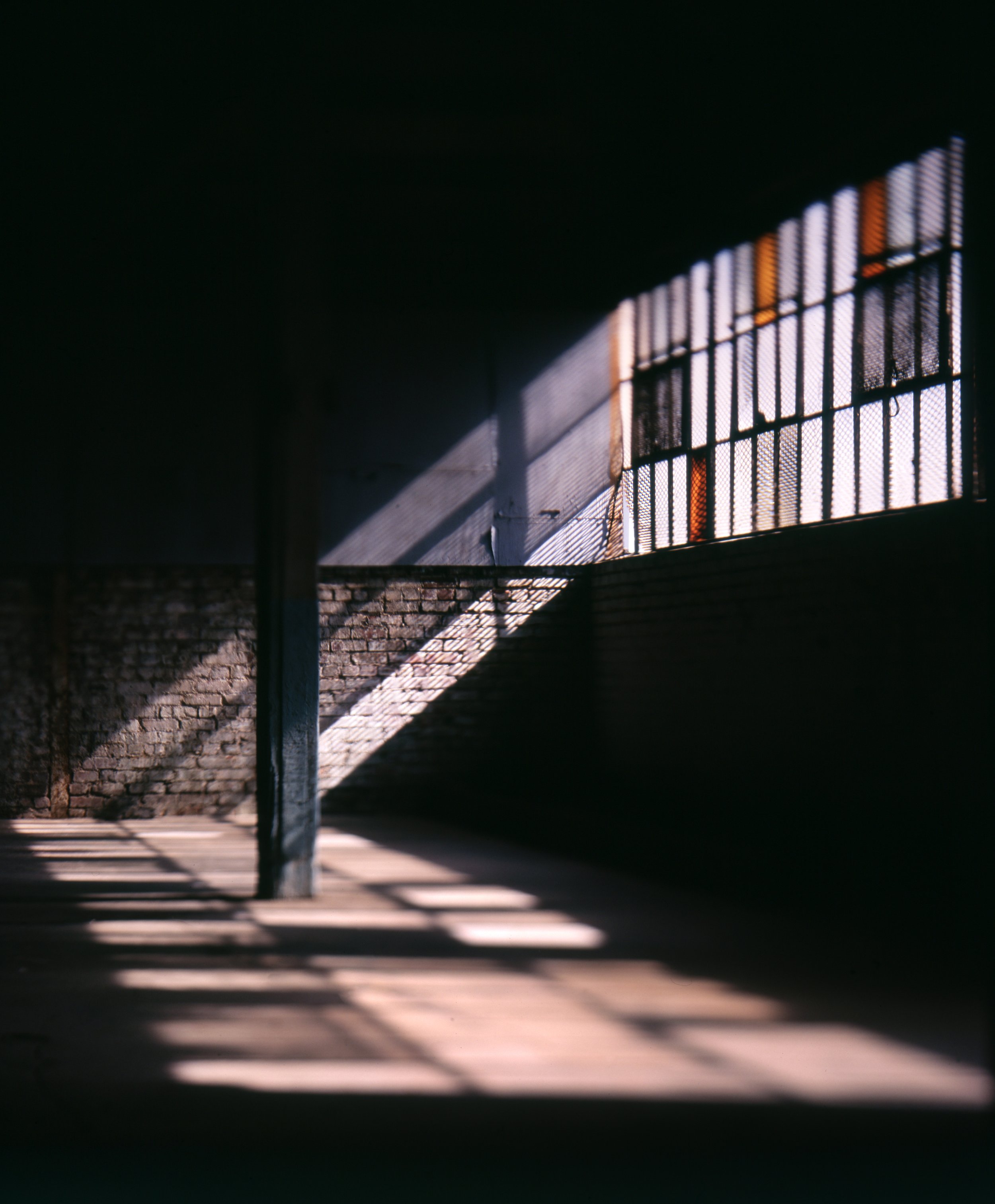 Buck_TechV_Velvia50.jpg