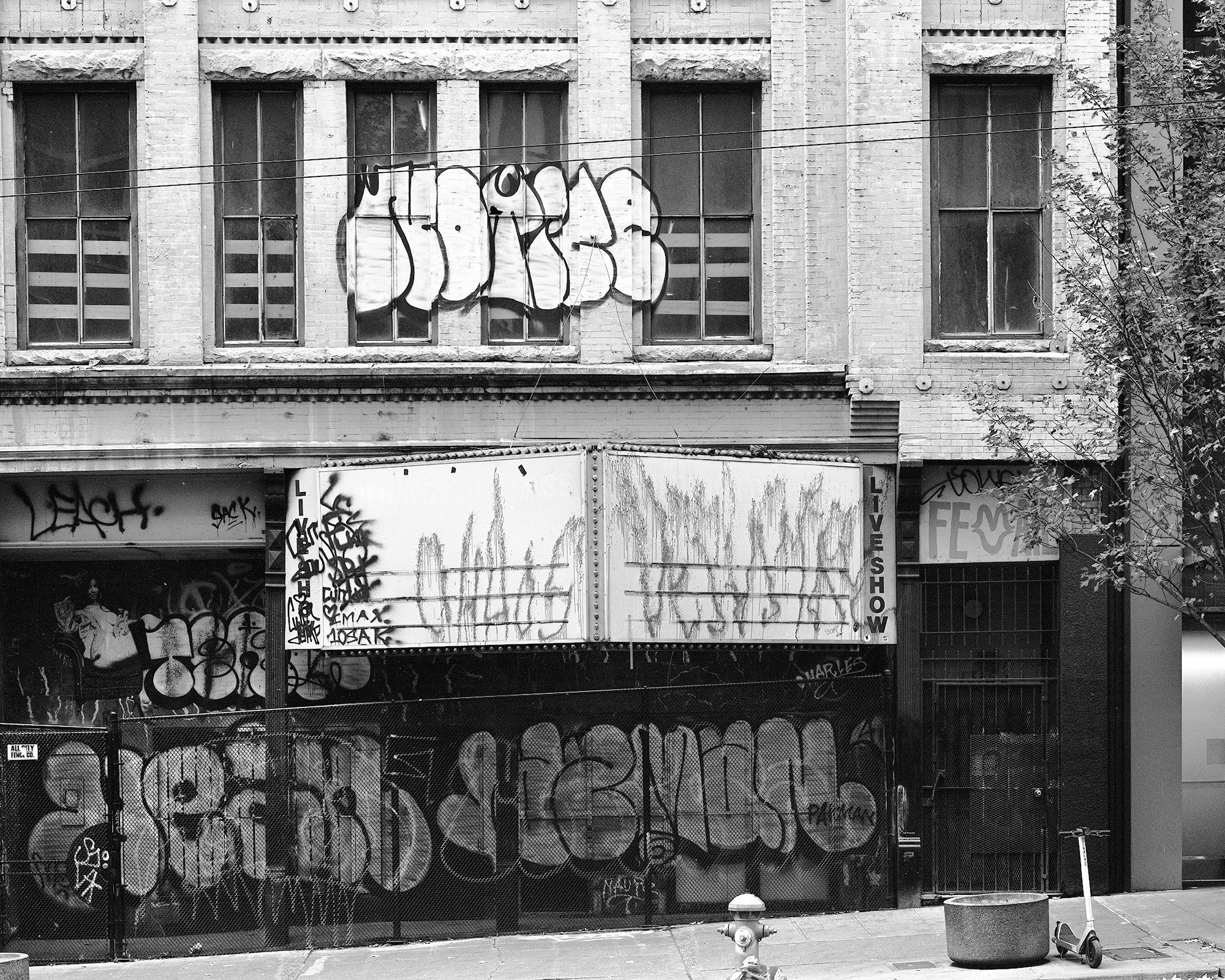 Lusty_Lady_MT_HP5_web.jpg