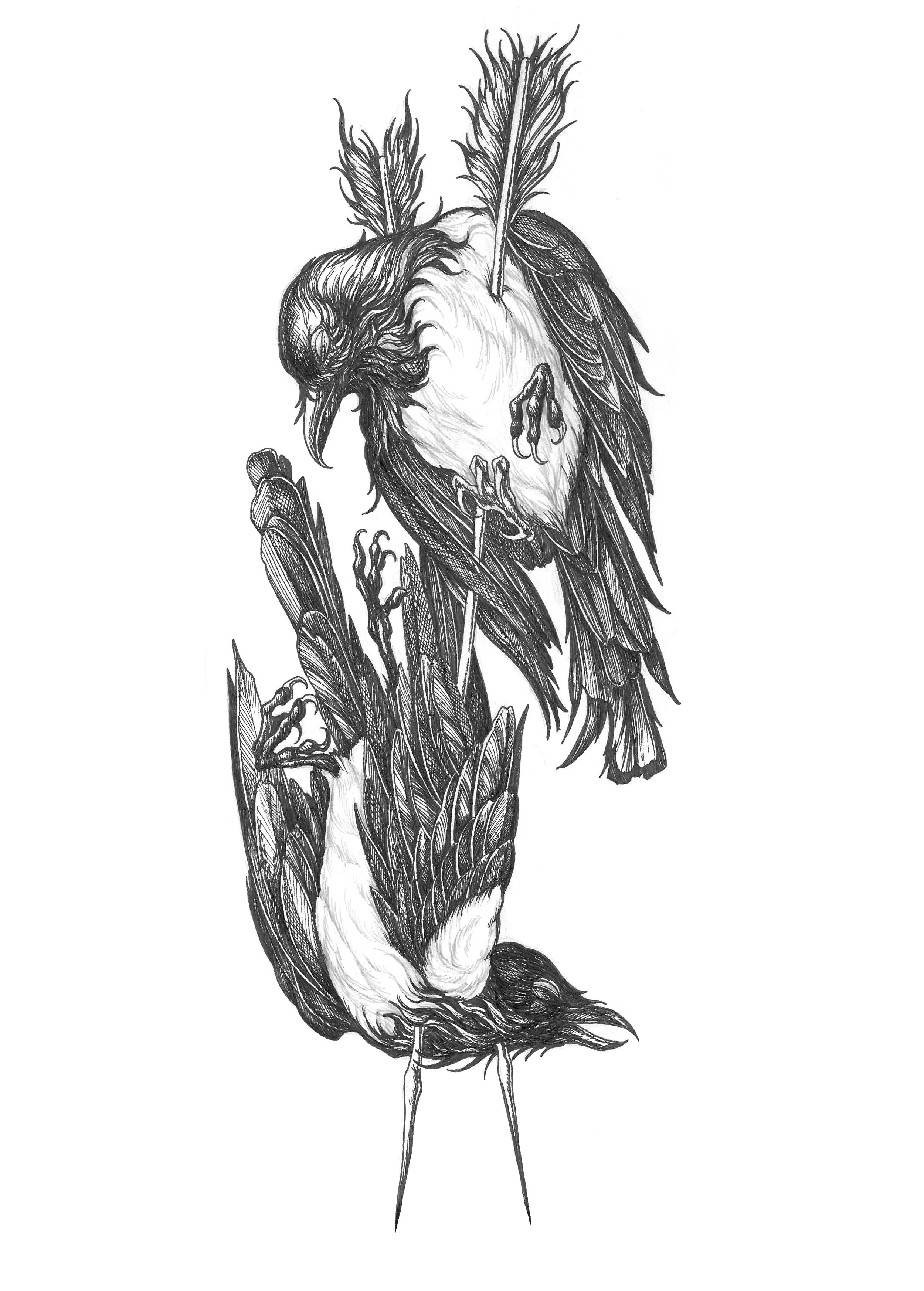 Impaled Birds $750
11in x 4in min