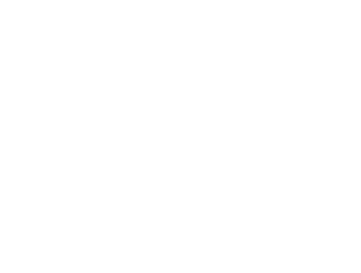 vsp.png