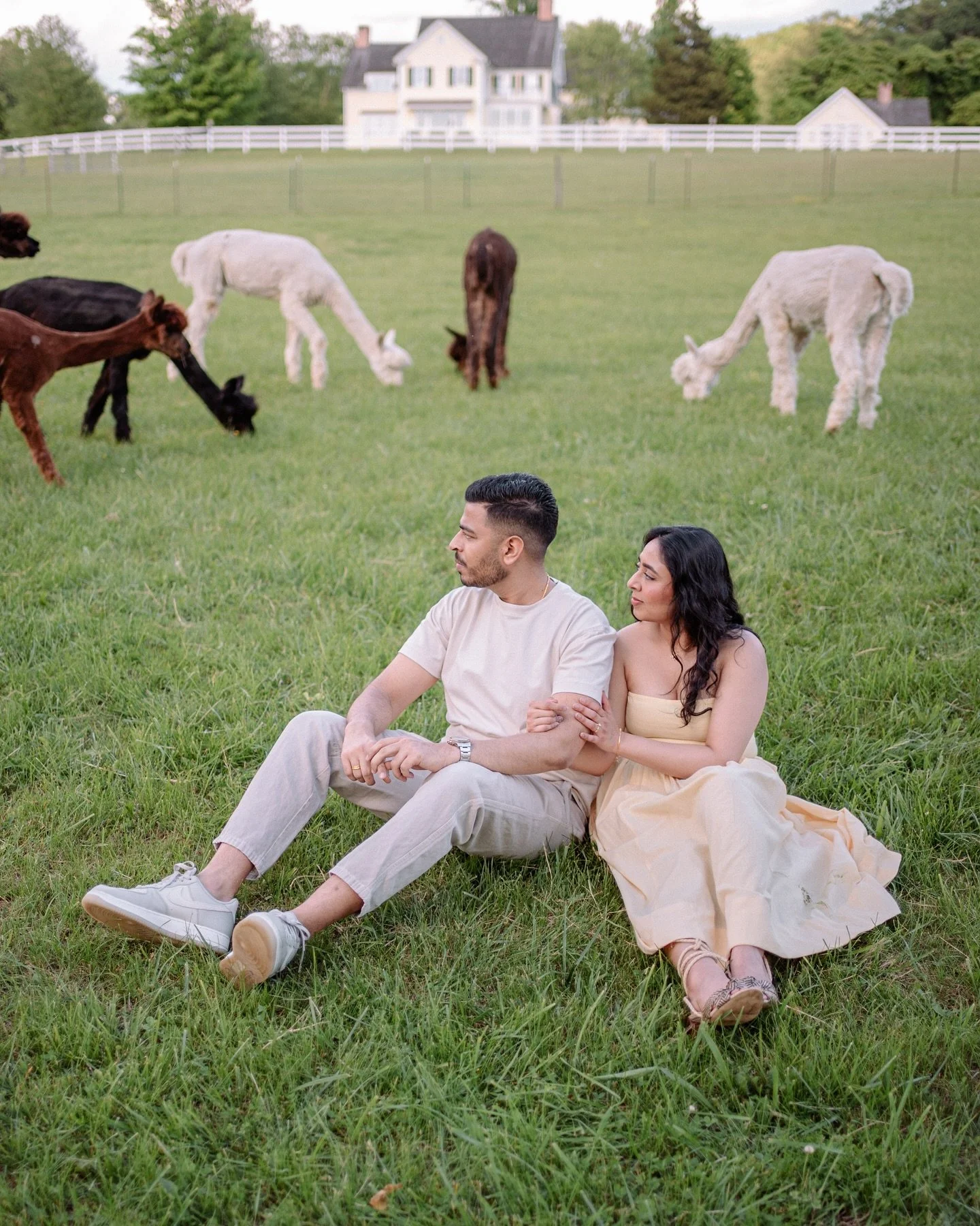 A bit of fluff and lots of love with Pinal, Akash and Alpacas

Shot on: Nikon ZF @nikonindiaofficial