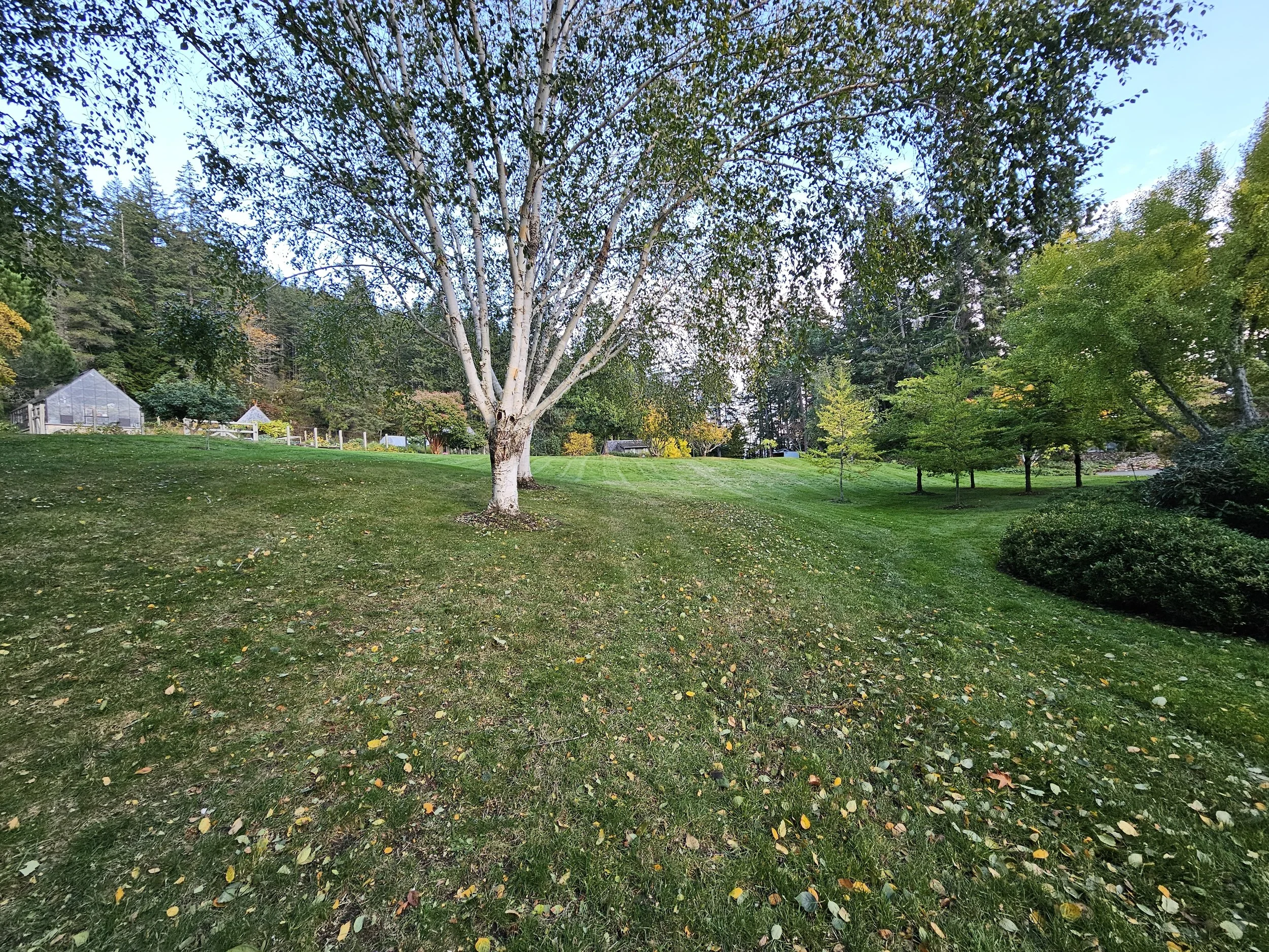 20241021_172206.jpg