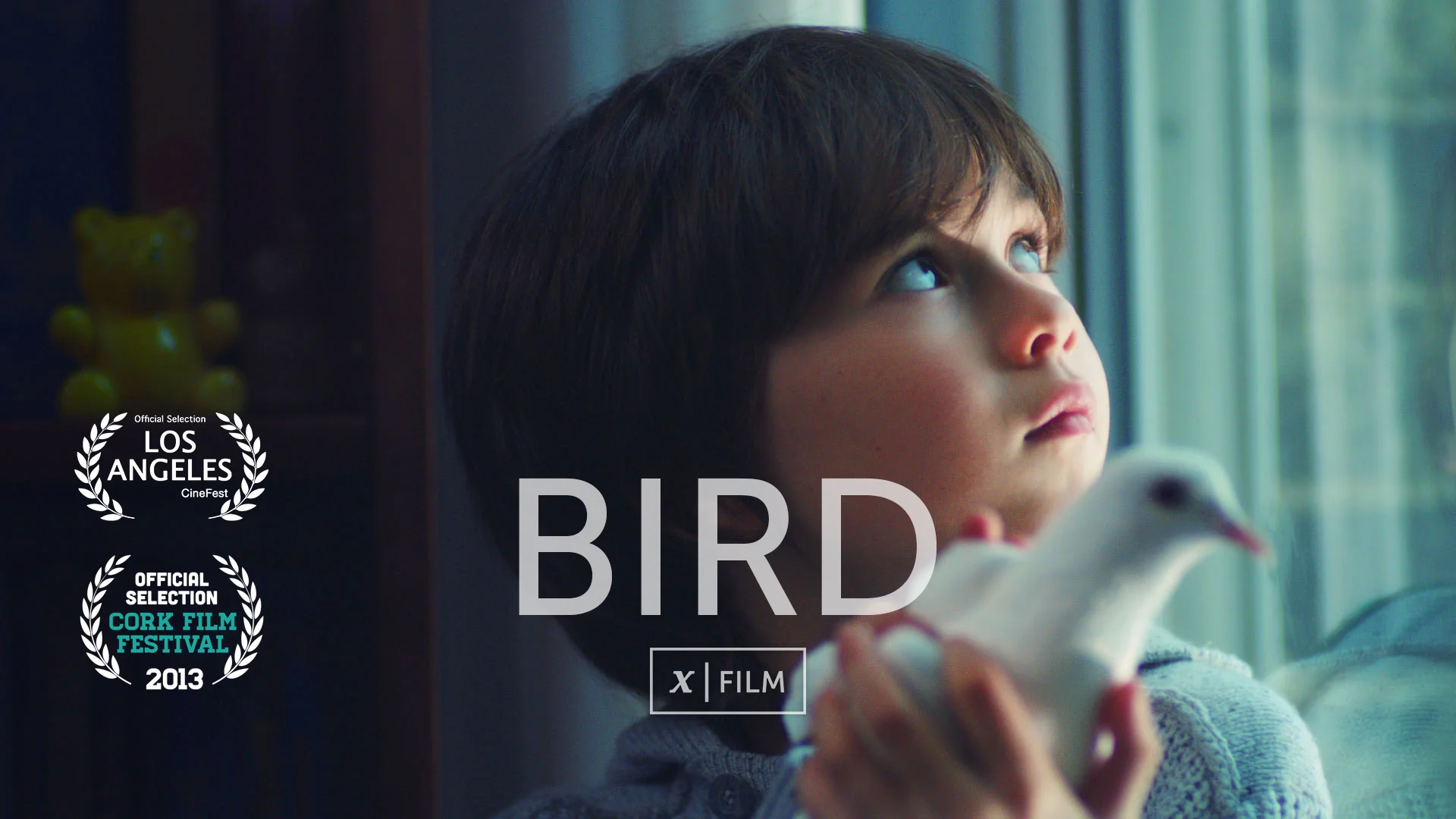 Bird.jpg