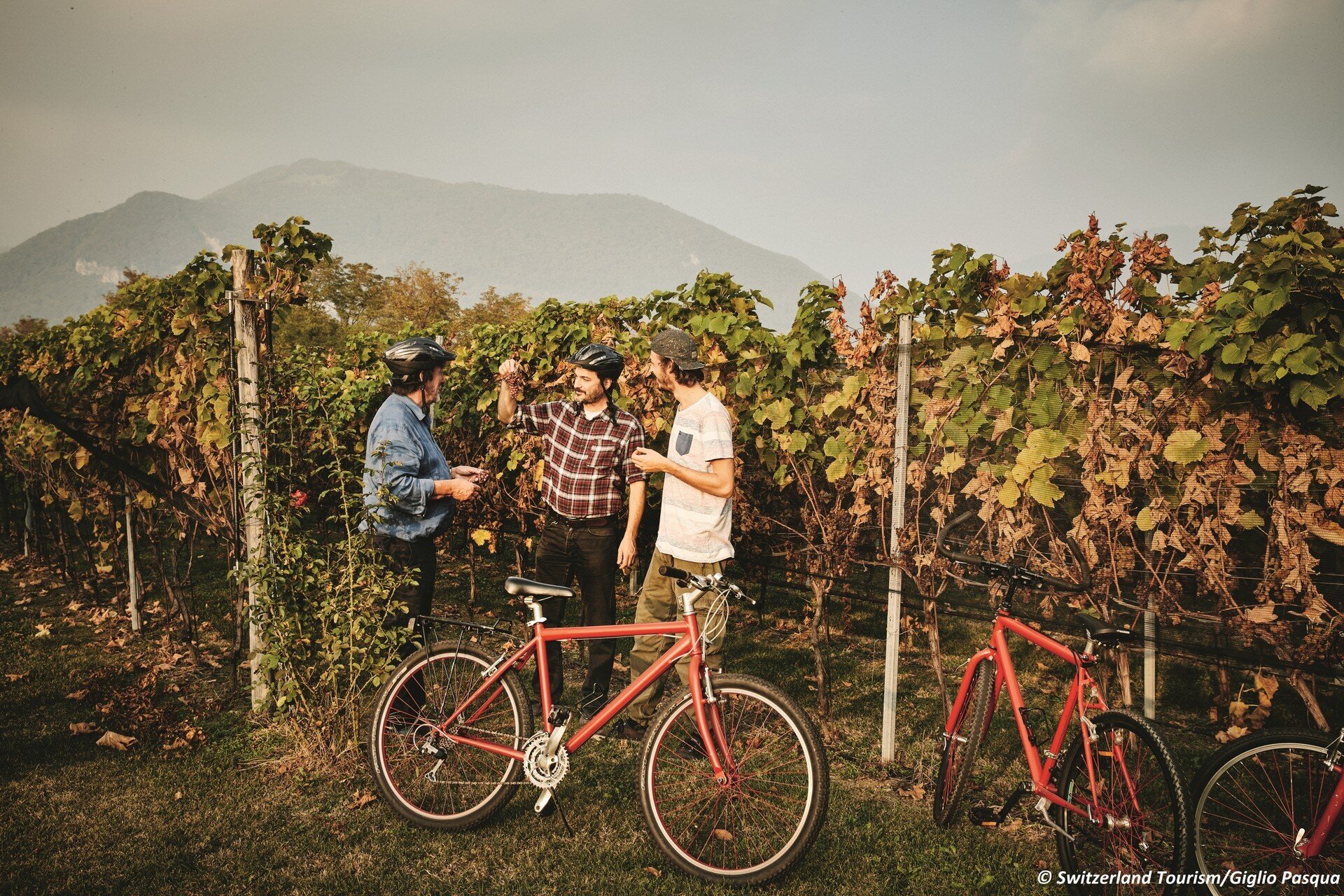 Conca_Bella_Bike'n'Wine.jpg