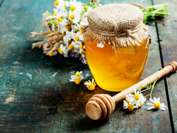 Fall Festival and State Honey Festival