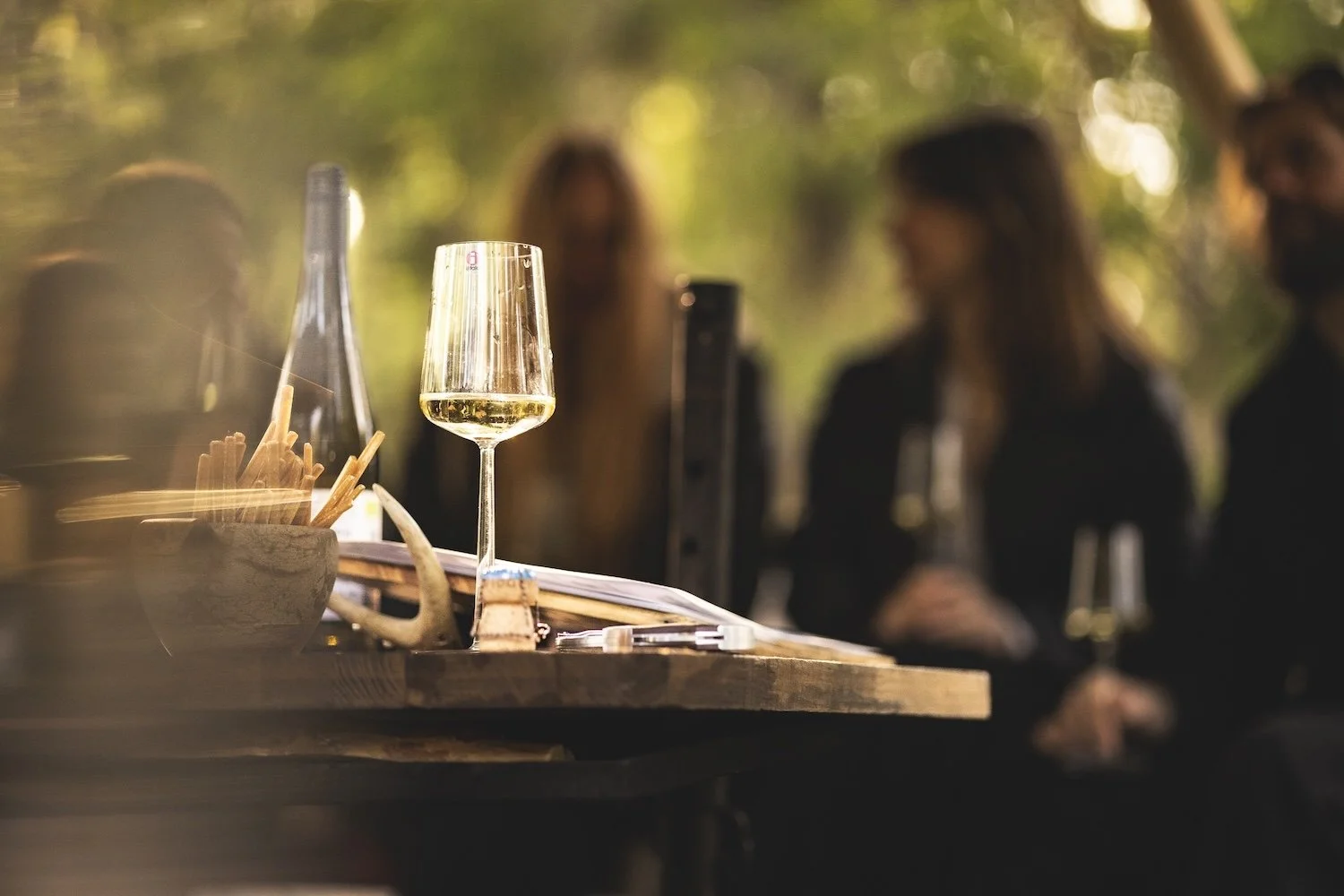 WineintheWoods1HSulander (85).jpg